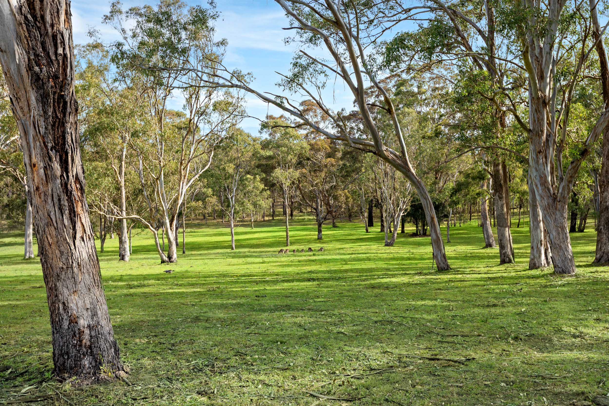 Lochinvar For Sale by Farmbuy.com - image 29
