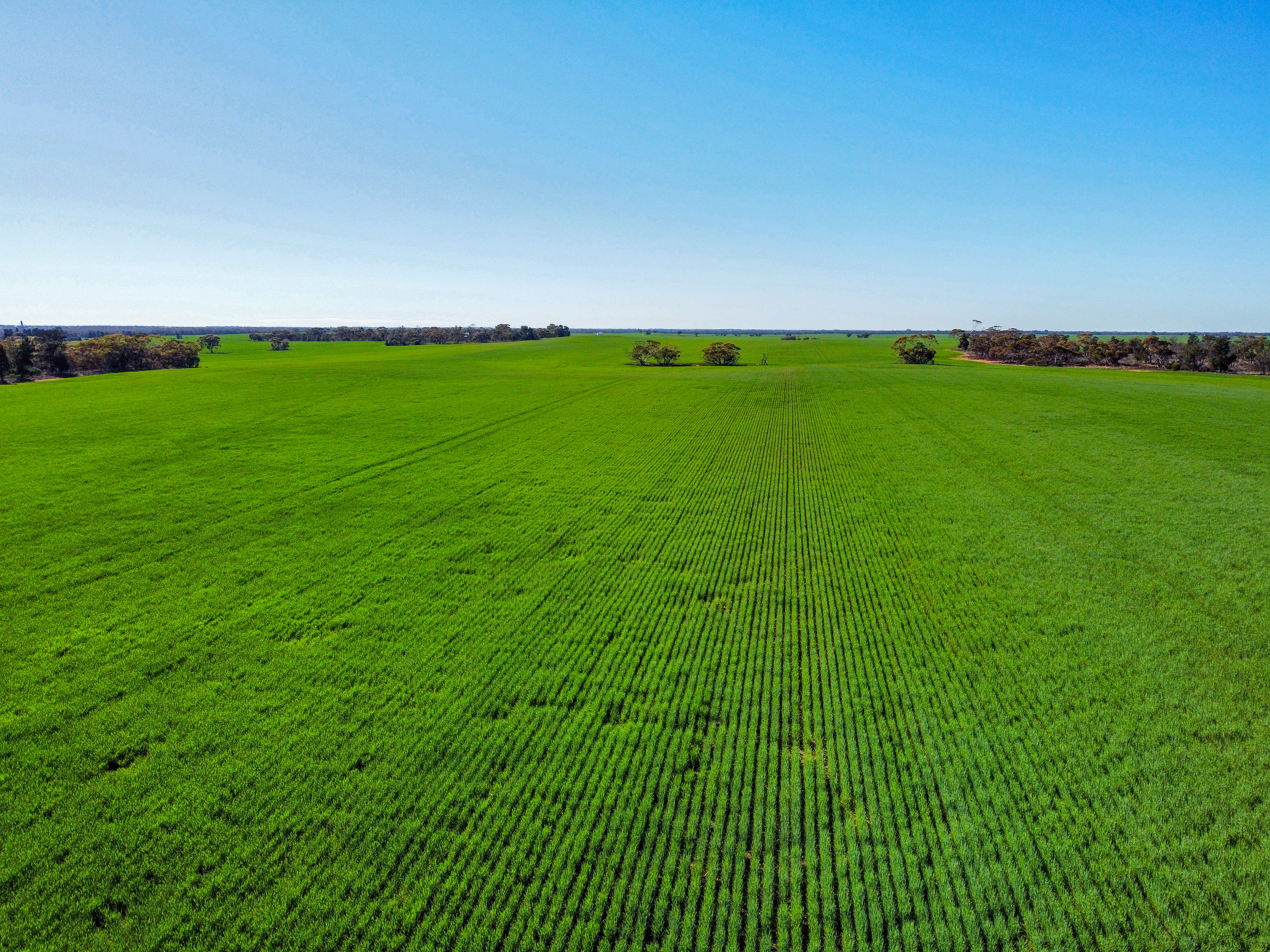 3196 Robinvale Sea Lake Road, Annuello VIC 3549