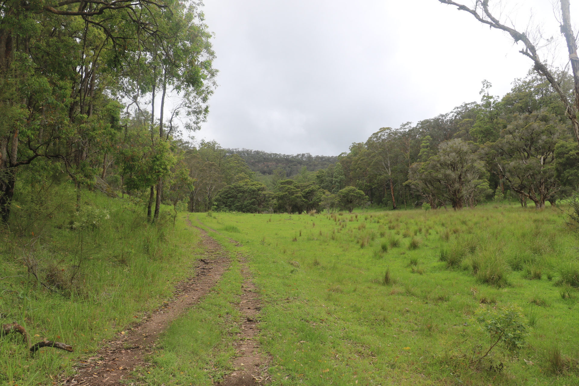 Lot 314, 1341A Putty Valley Road, Putty NSW 2330