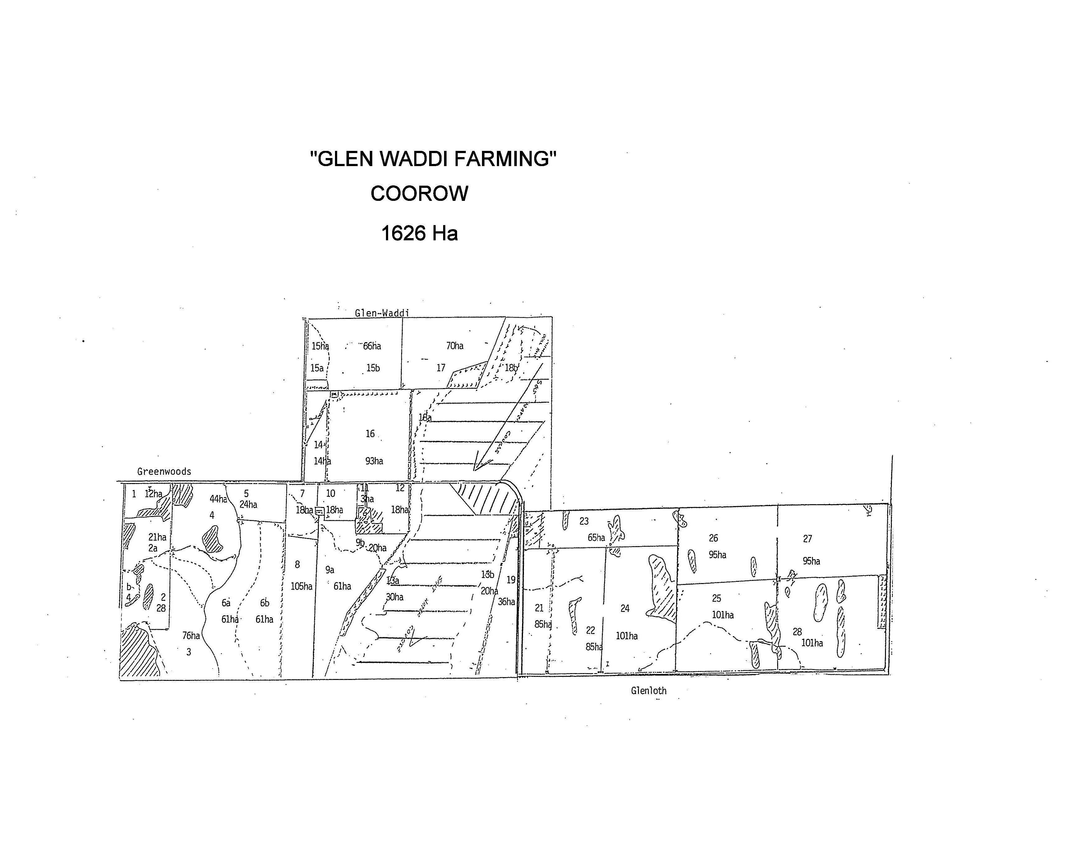 Glen Waddi, Waddy Forest, Coorow For Sale by Farmbuy.com - image 7