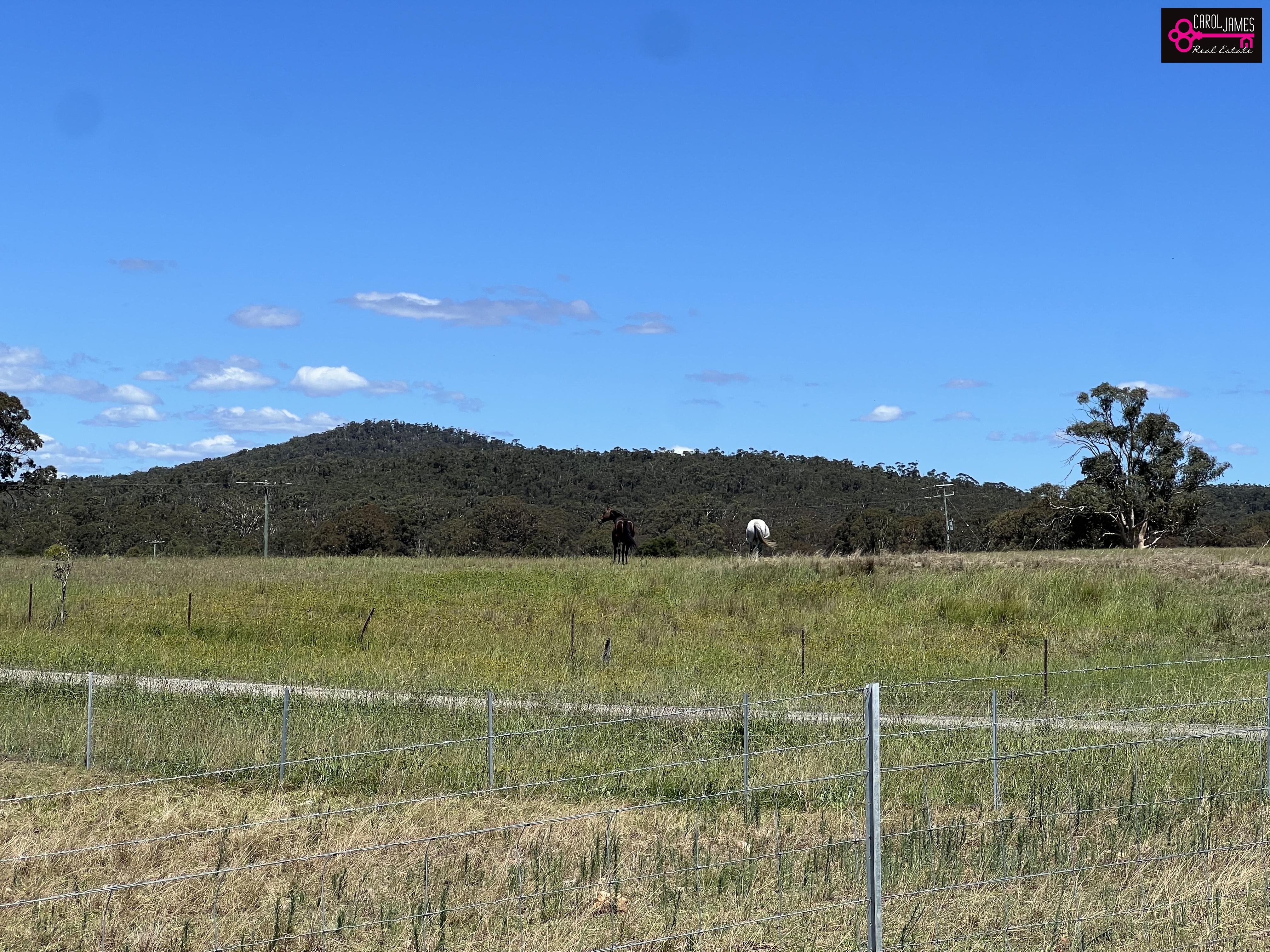 271 Rampion Hills Rd, Goulburn NSW 2580 &mdash; photo 8