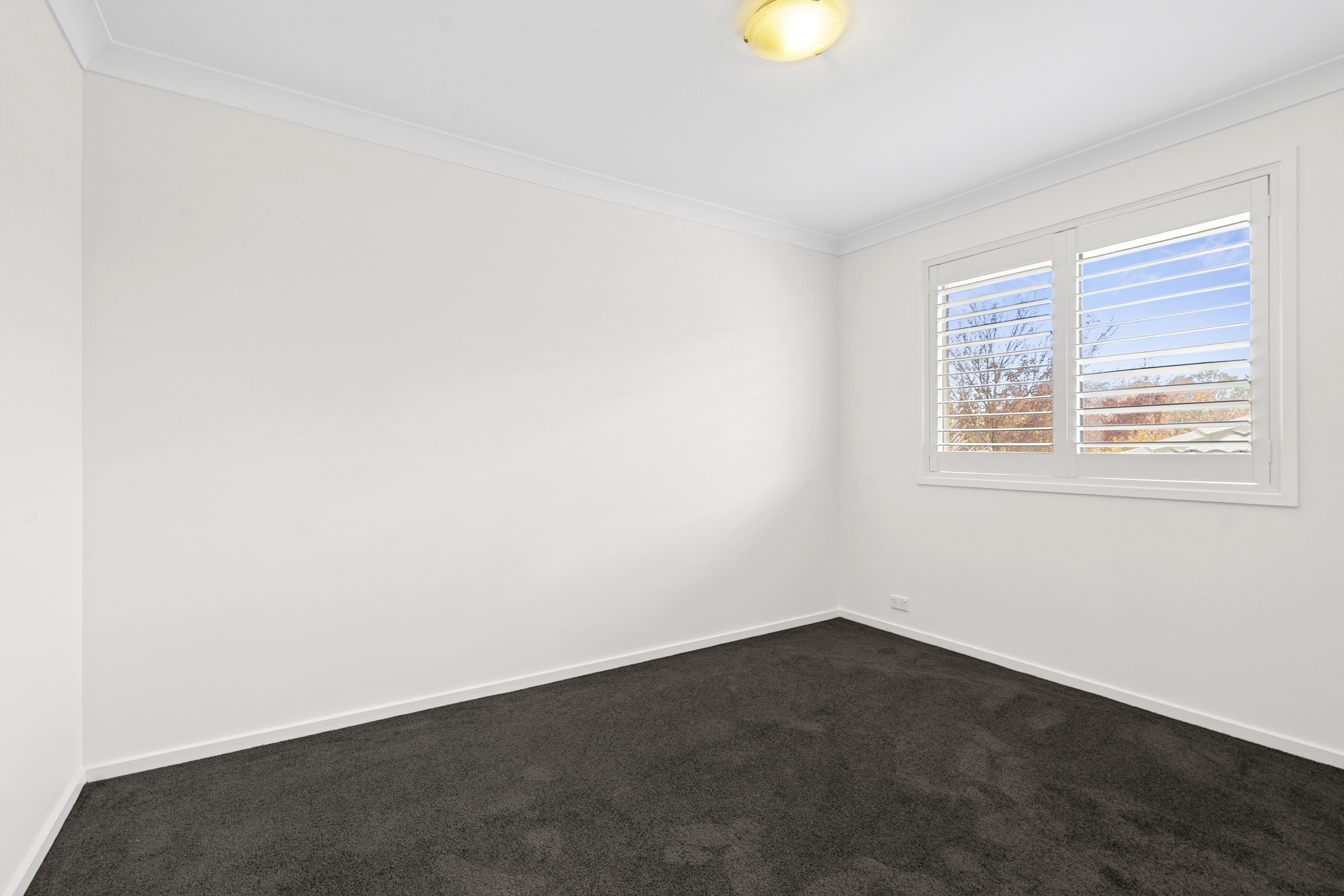8 Fitzpatrick Street, Goulburn NSW 2580 &mdash; photo 9