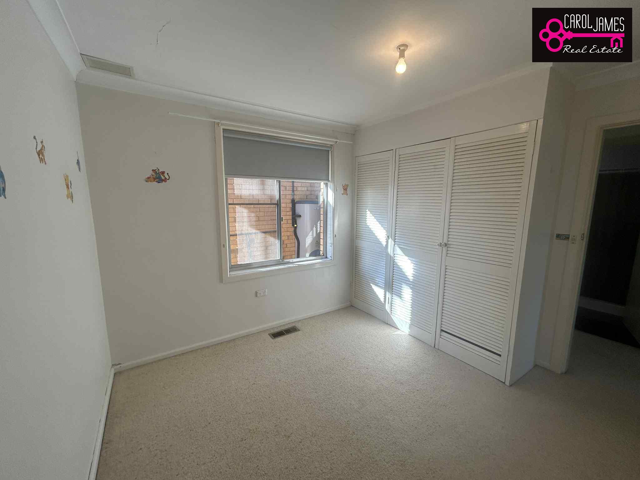 22 Record Street, Goulburn NSW 2580 &mdash; photo 8