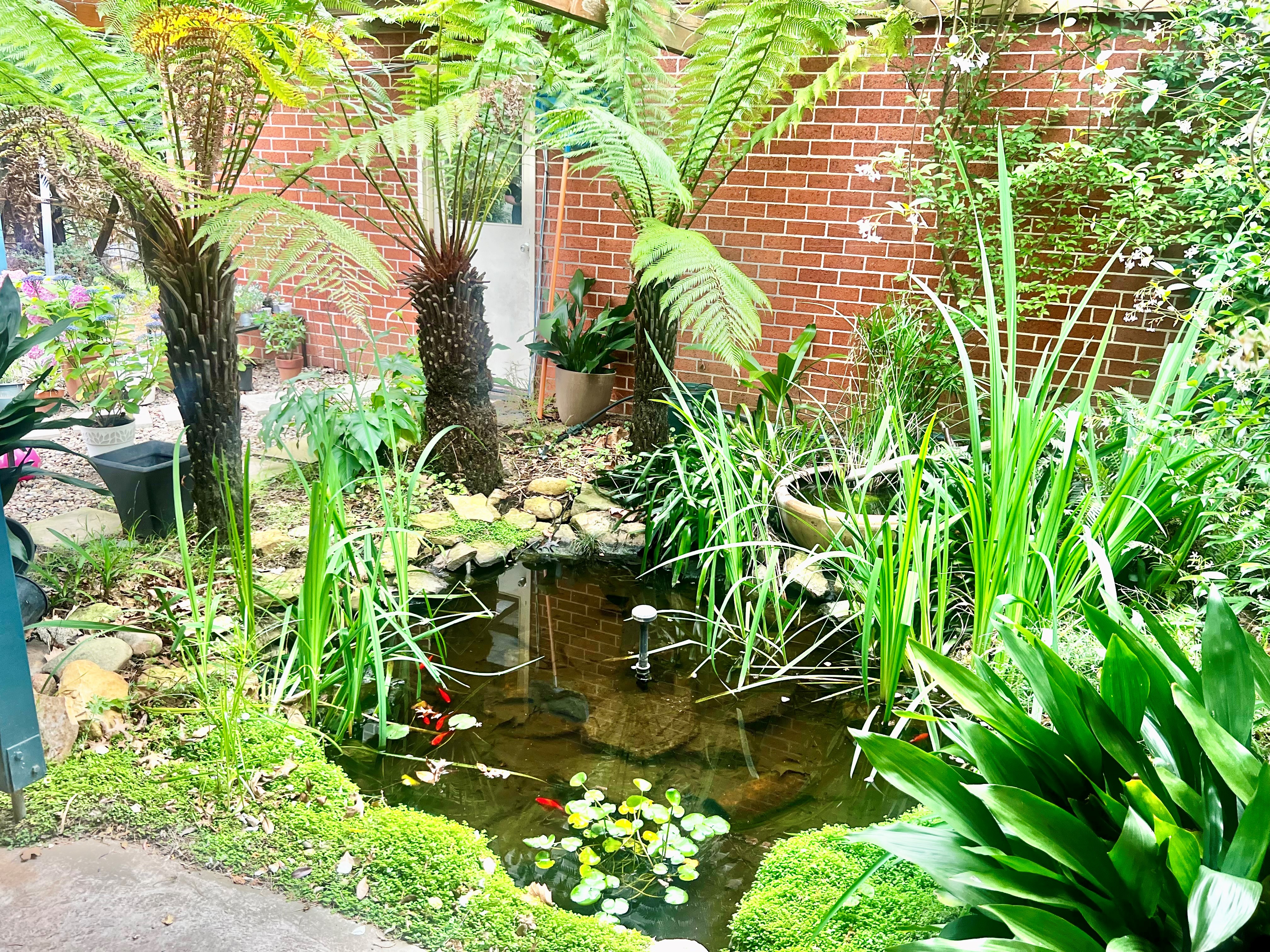 33 Run O Waters Drive, Run O Waters NSW 2580 &mdash; photo 8