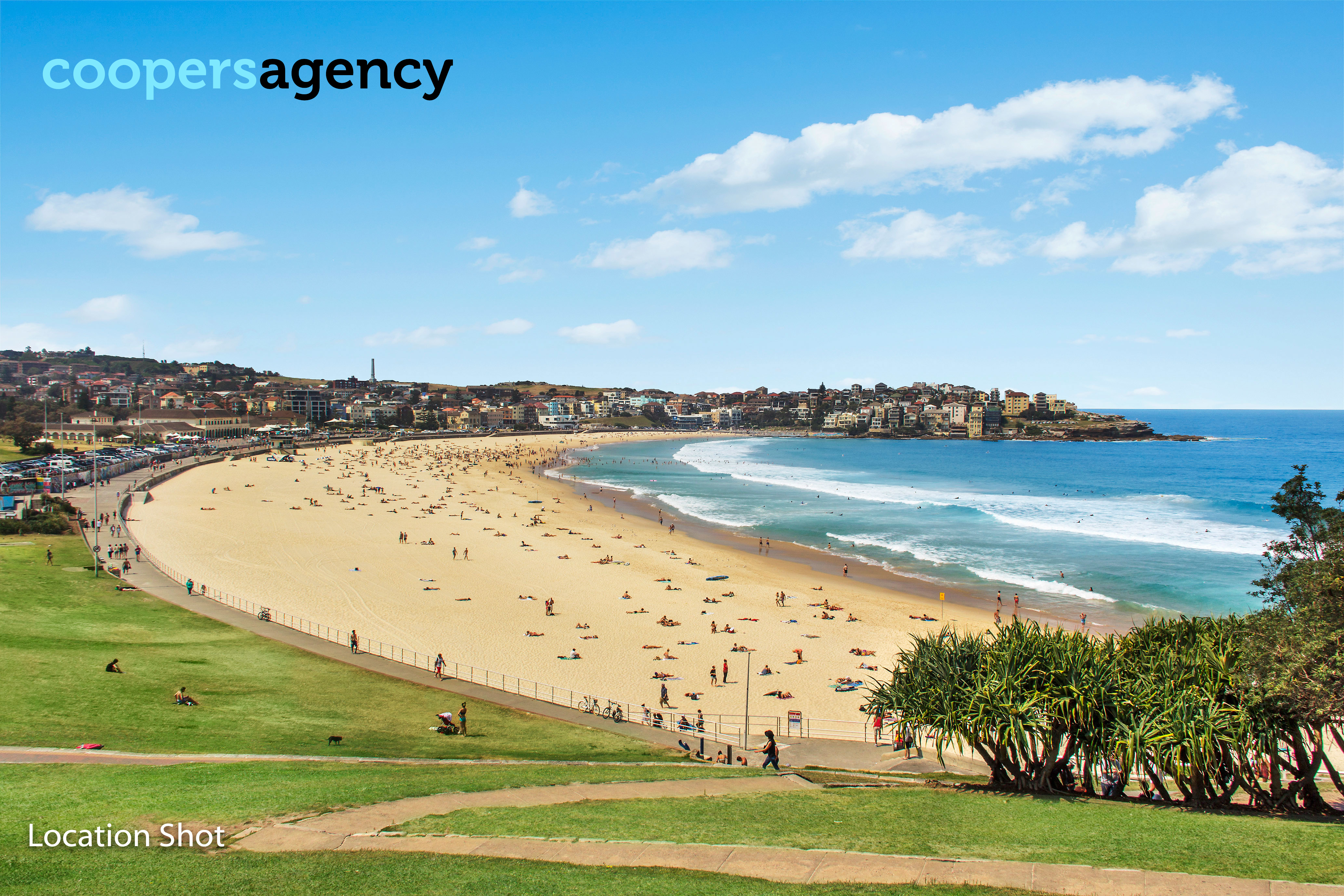 2/5 Imperial Avenue, Bondi For Lease by Coopers Agency - image 10