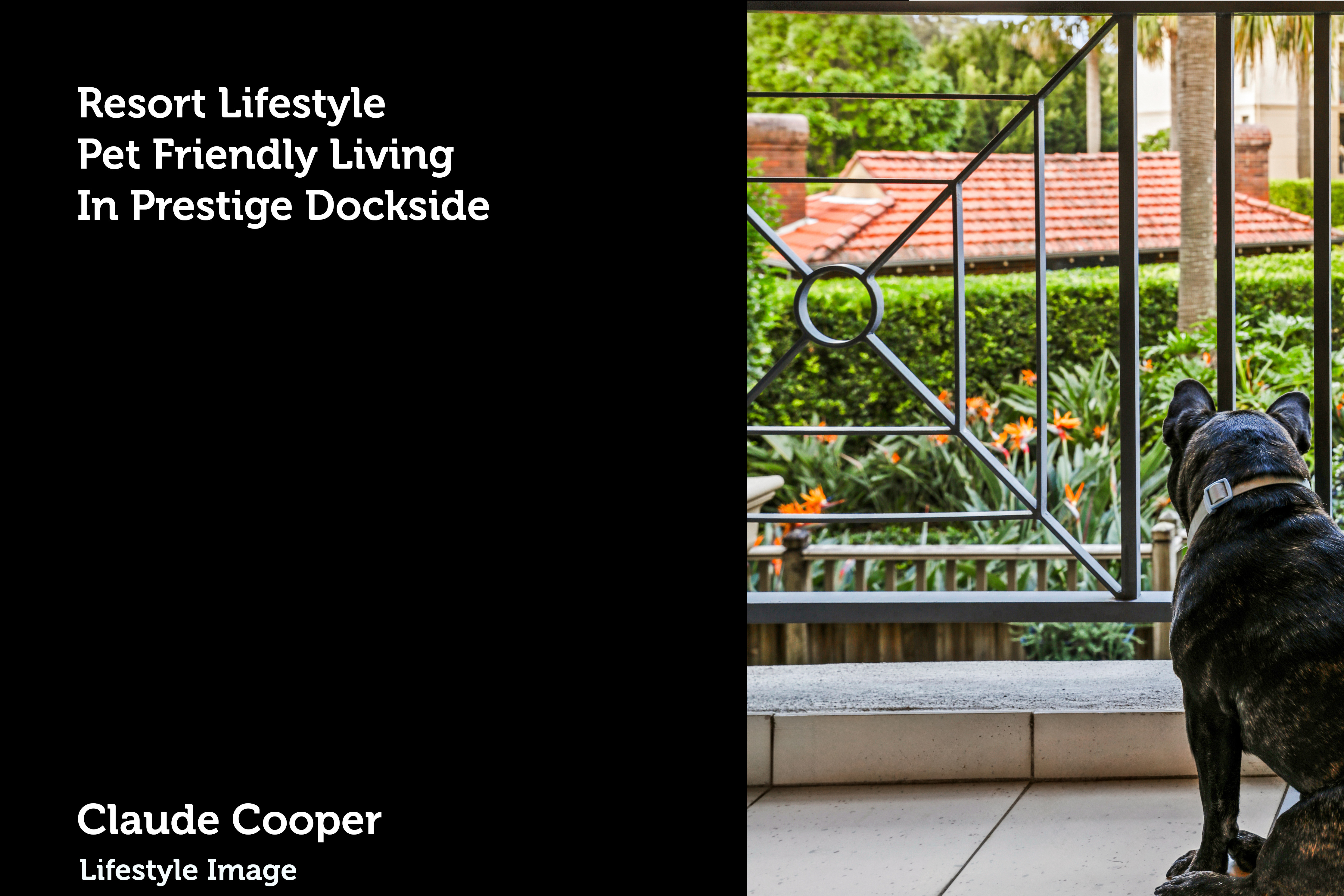 D15/1 Buchanan Street, Balmain Auction by Coopers Agency - image 20