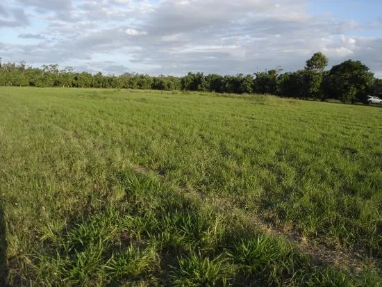 73 Richters Road, Winfield For Sale by Farmbuy.com - image 2