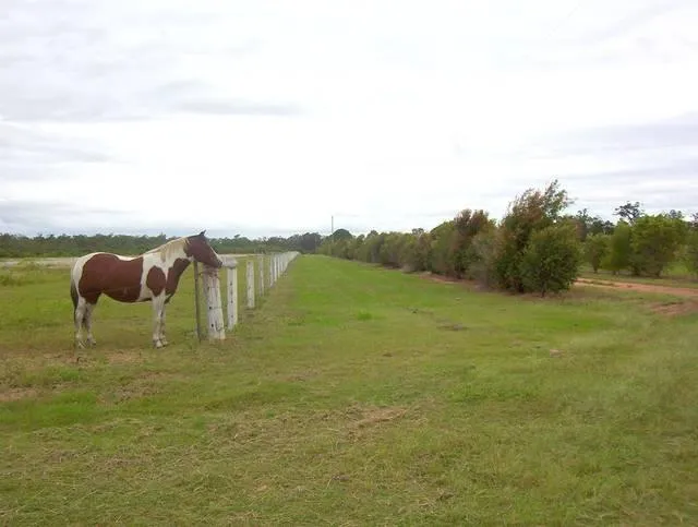 73 Richters Road, Winfield For Sale by Farmbuy.com - image 3