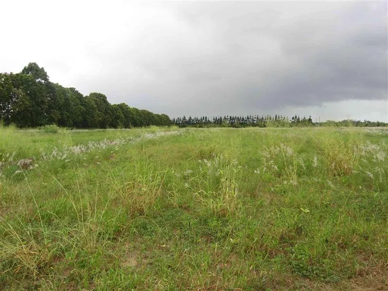 73 Richters Road, Winfield For Sale by Farmbuy.com - image 4