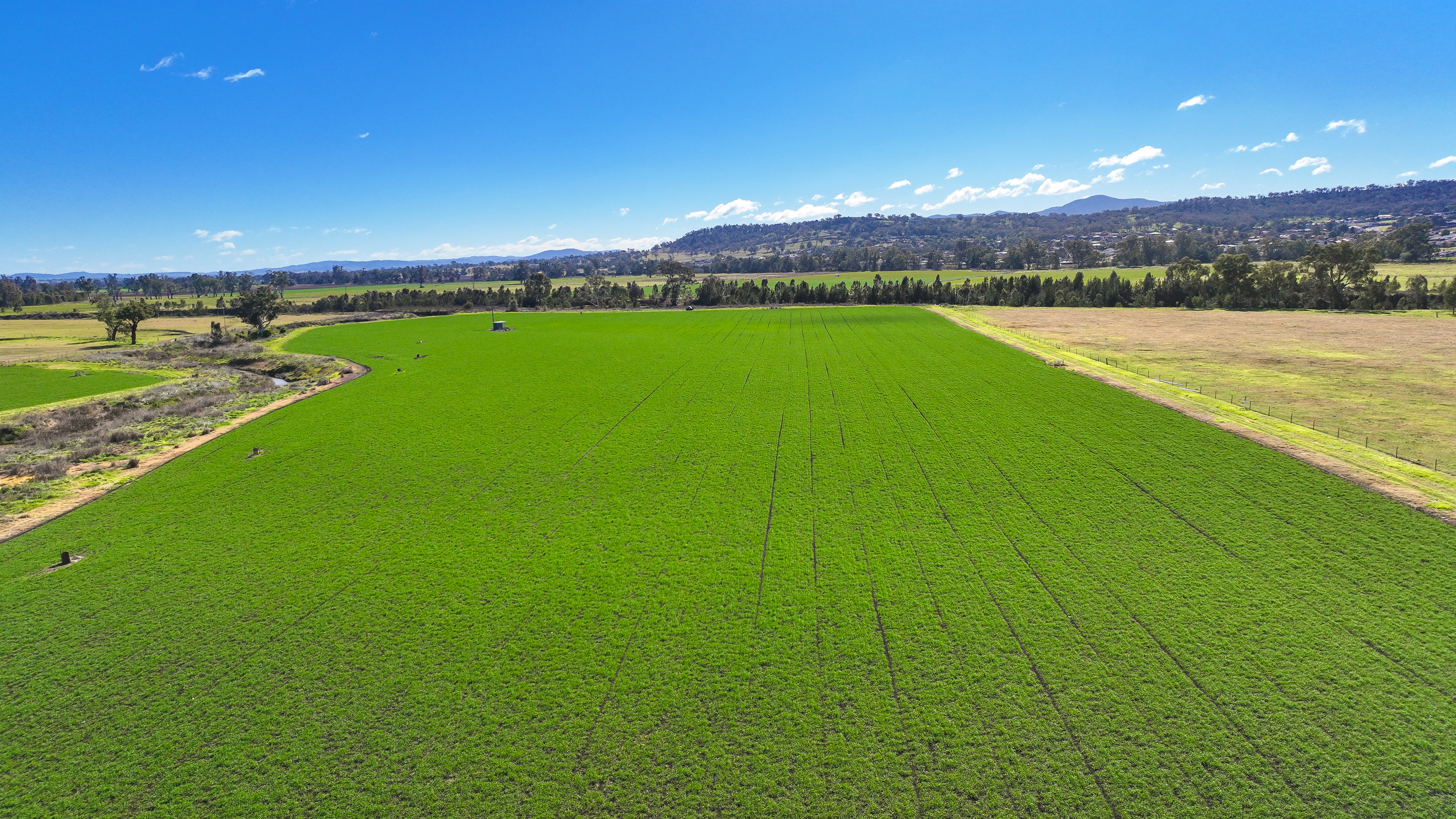 102 Wallamore Road, Tamworth NSW 2340