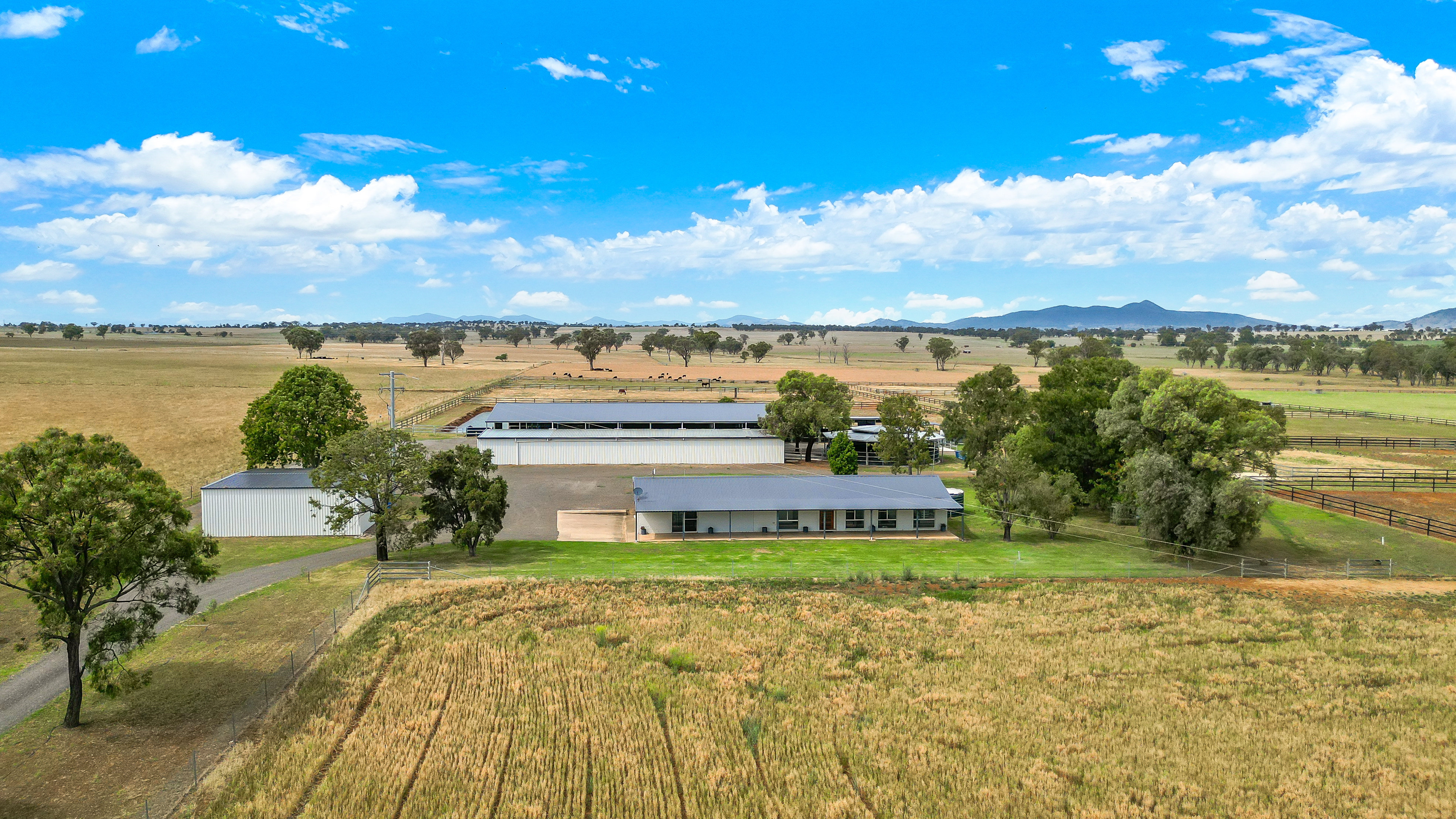 337 New Winton Road, Tamworth NSW 2340