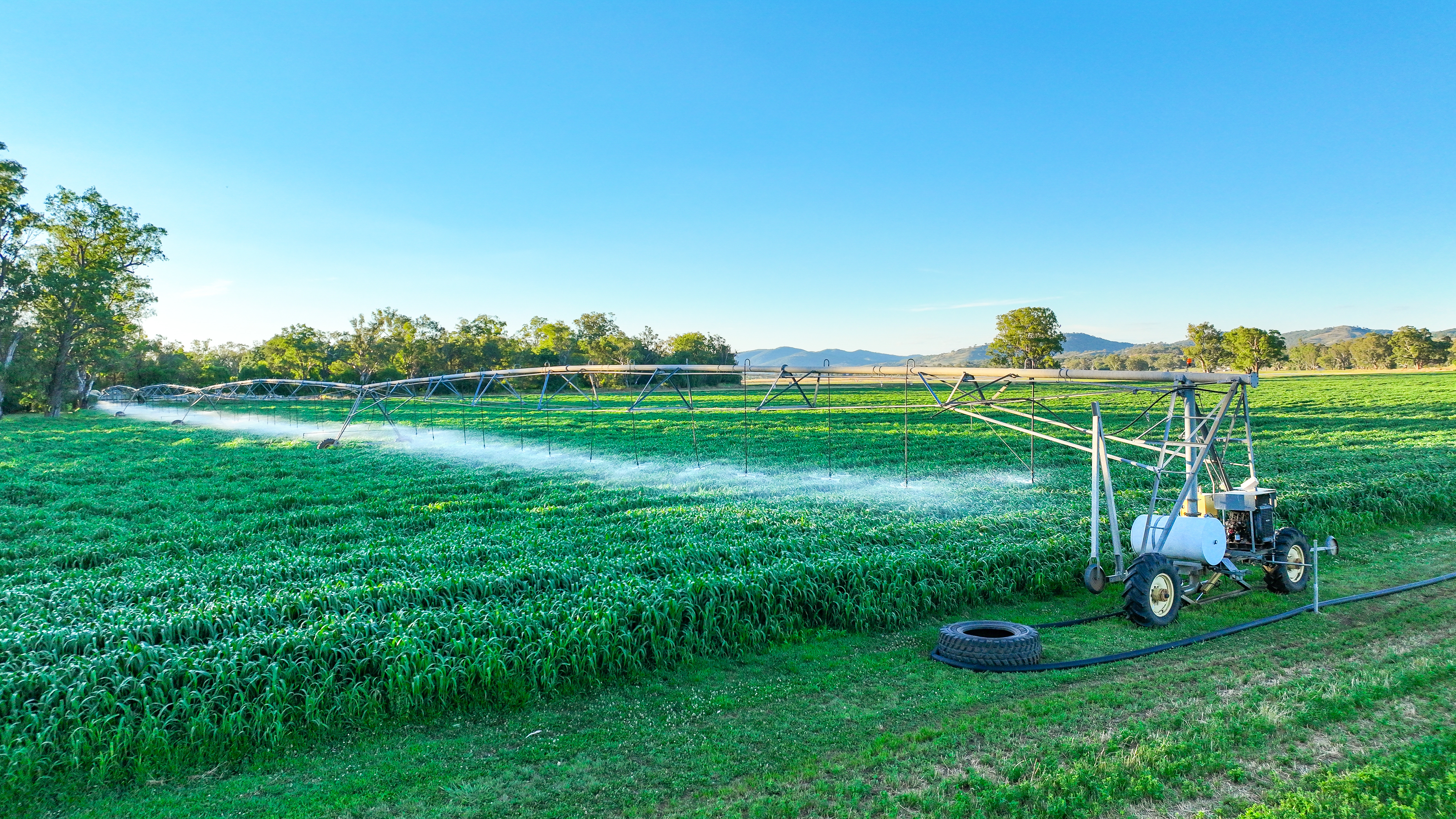 1052 Nundle Road, Tamworth For Sale by Farmbuy.com - image 3