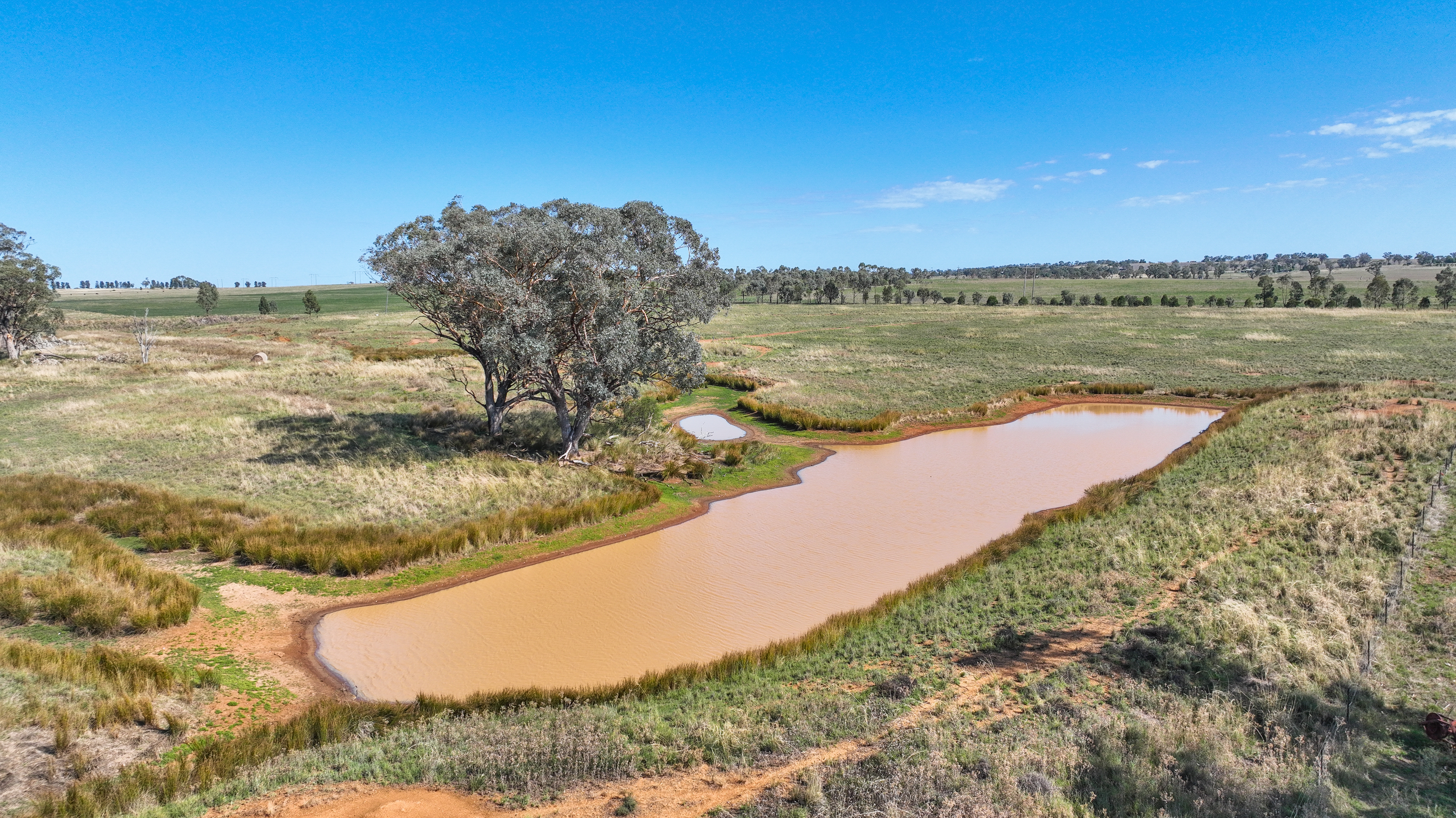 948 New Winton Road, Tamworth Auction by Farmbuy.com - image 21