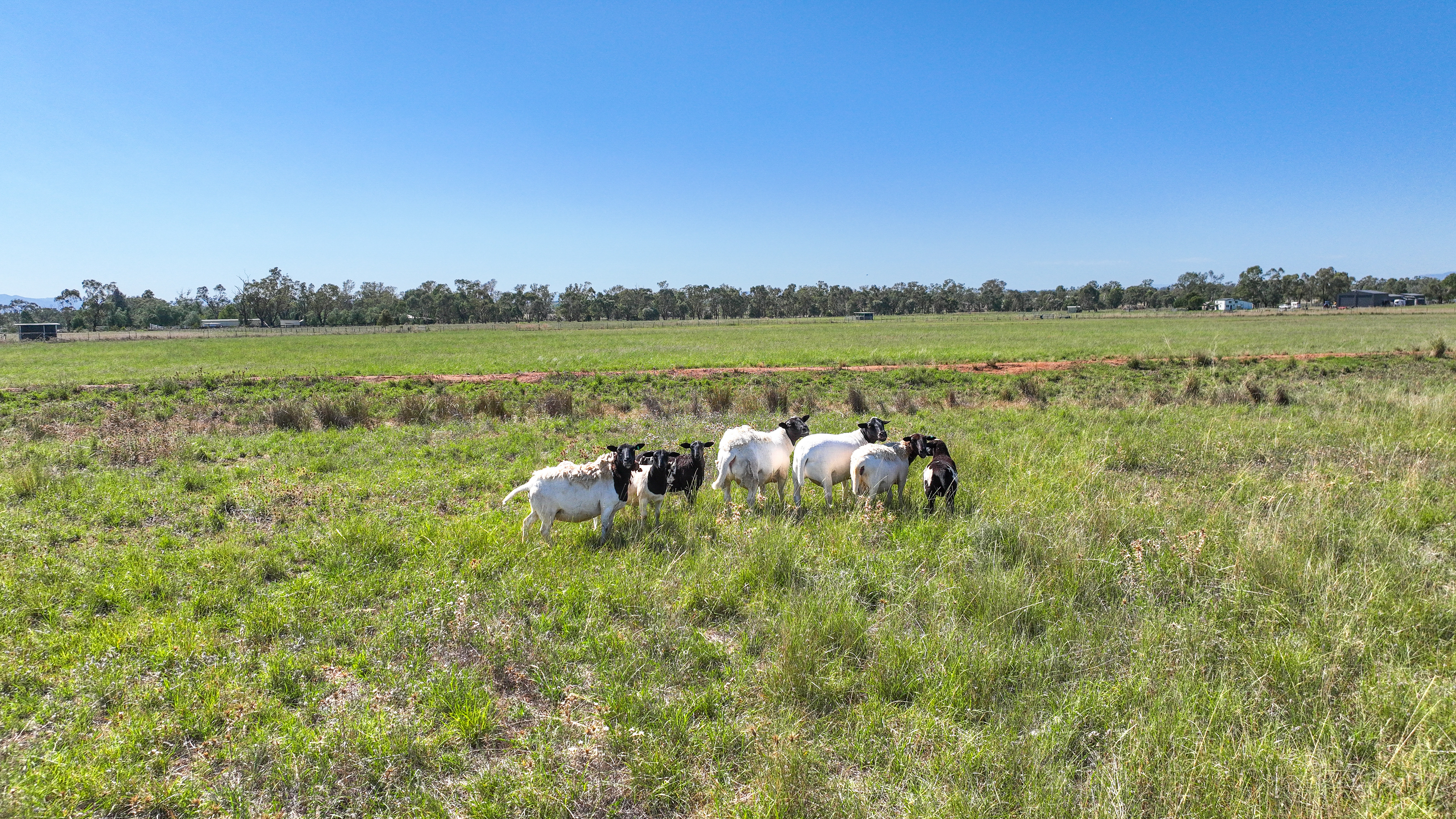948 New Winton Road, Tamworth Auction by Farmbuy.com - image 23