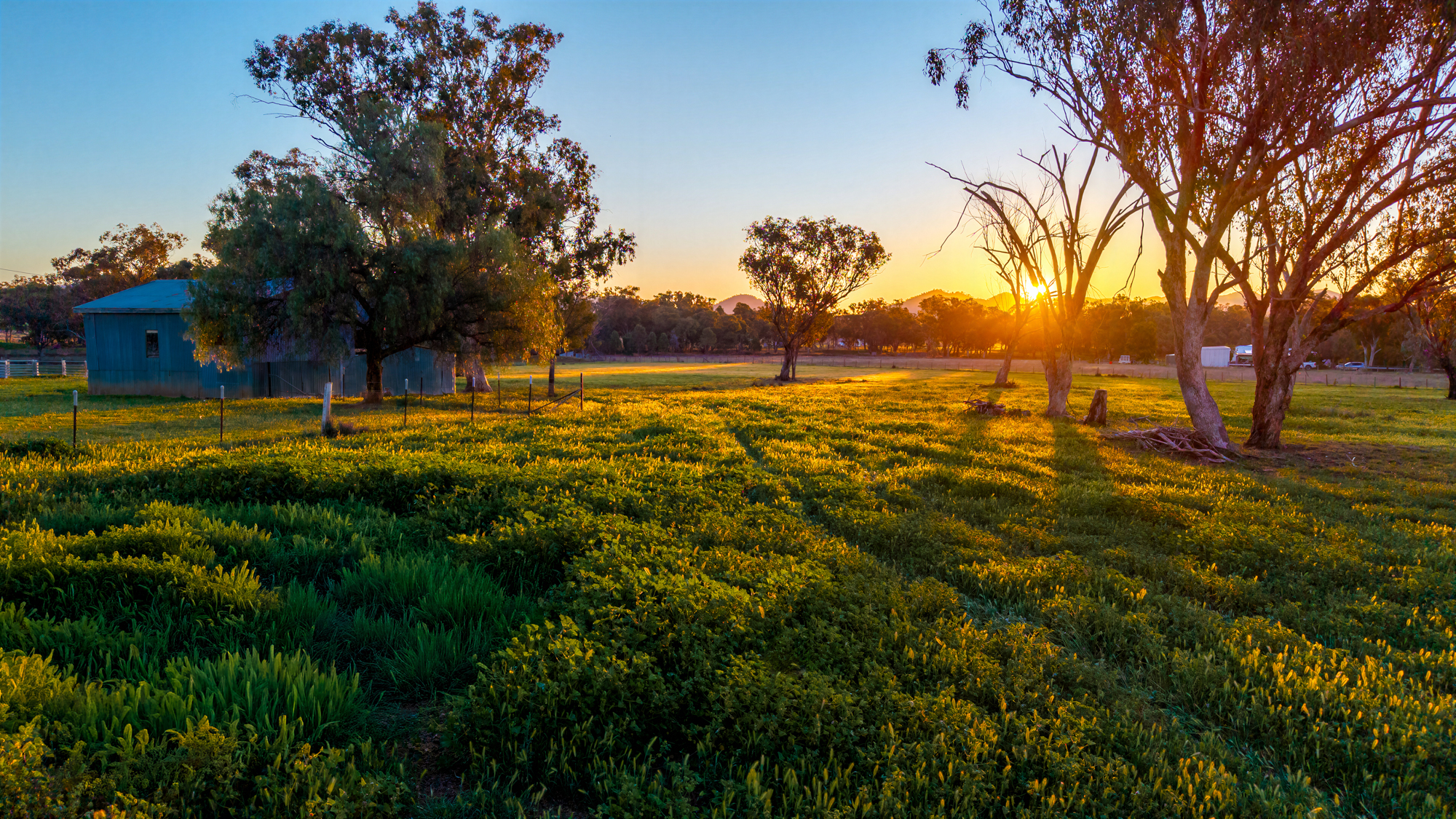 119 Skeltons Lane, Tamworth Auction by Farmbuy.com - image 13
