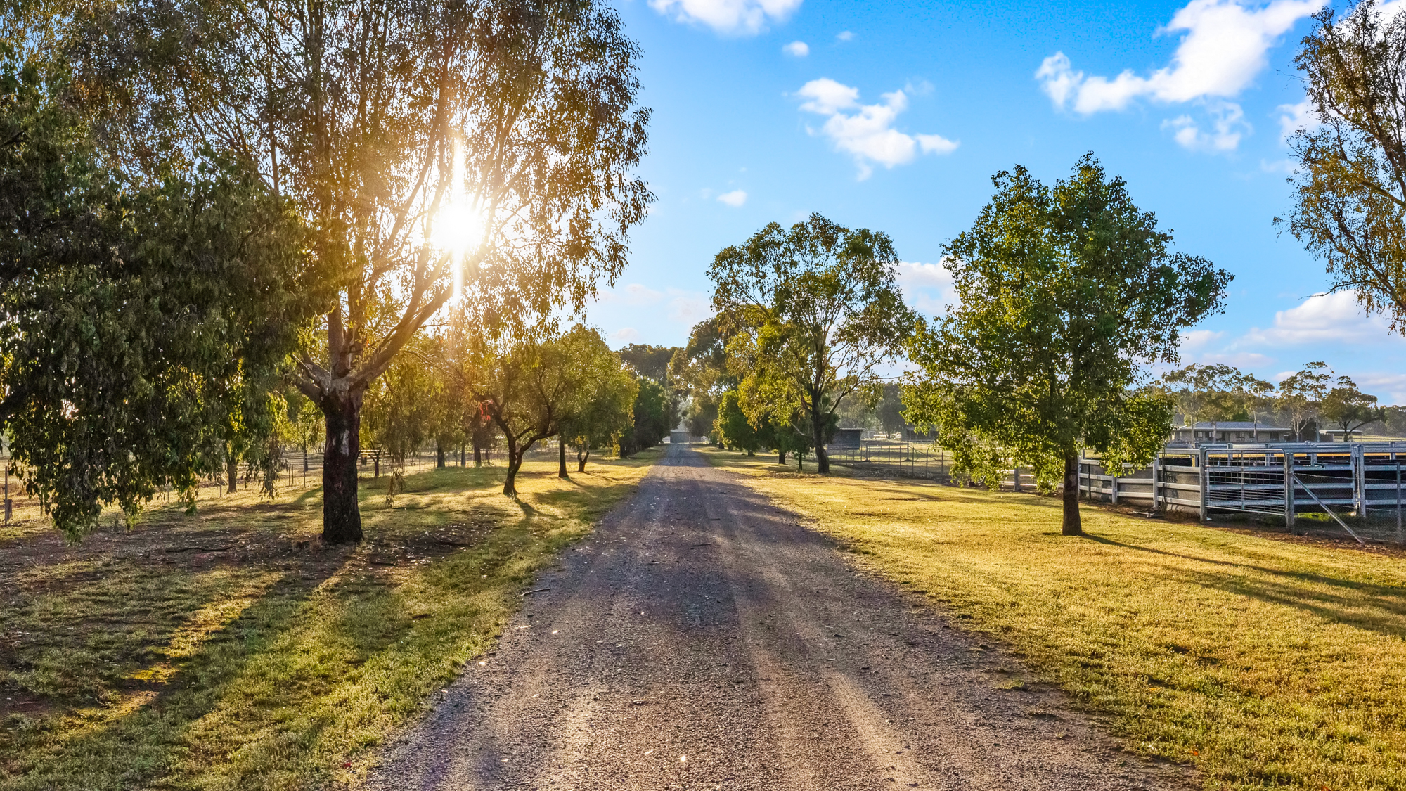 406 Ascot-Calala Road, Tamworth For Sale by Farmbuy.com - image 6