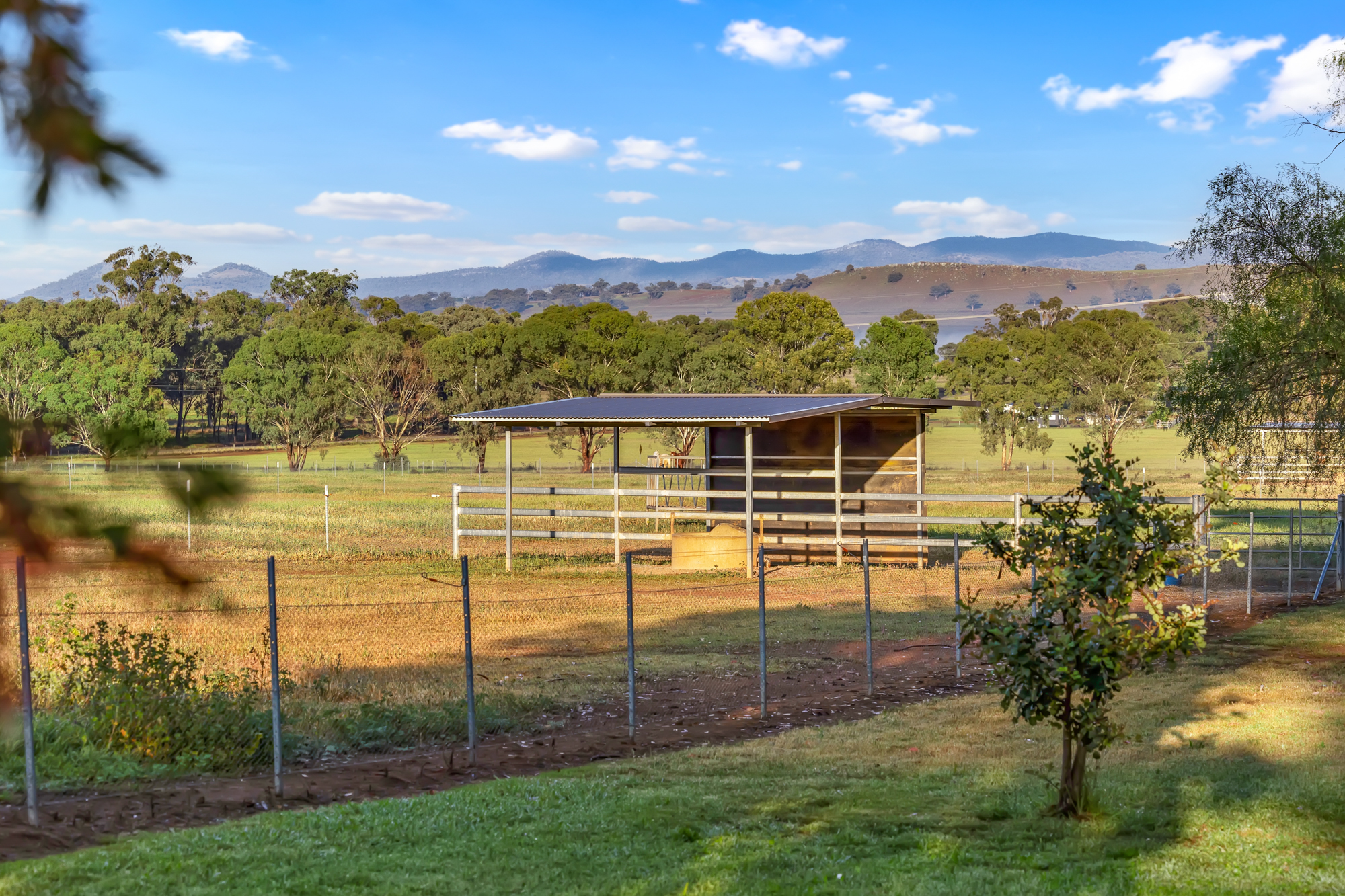 406 Ascot-Calala Road, Tamworth For Sale by Farmbuy.com - image 17