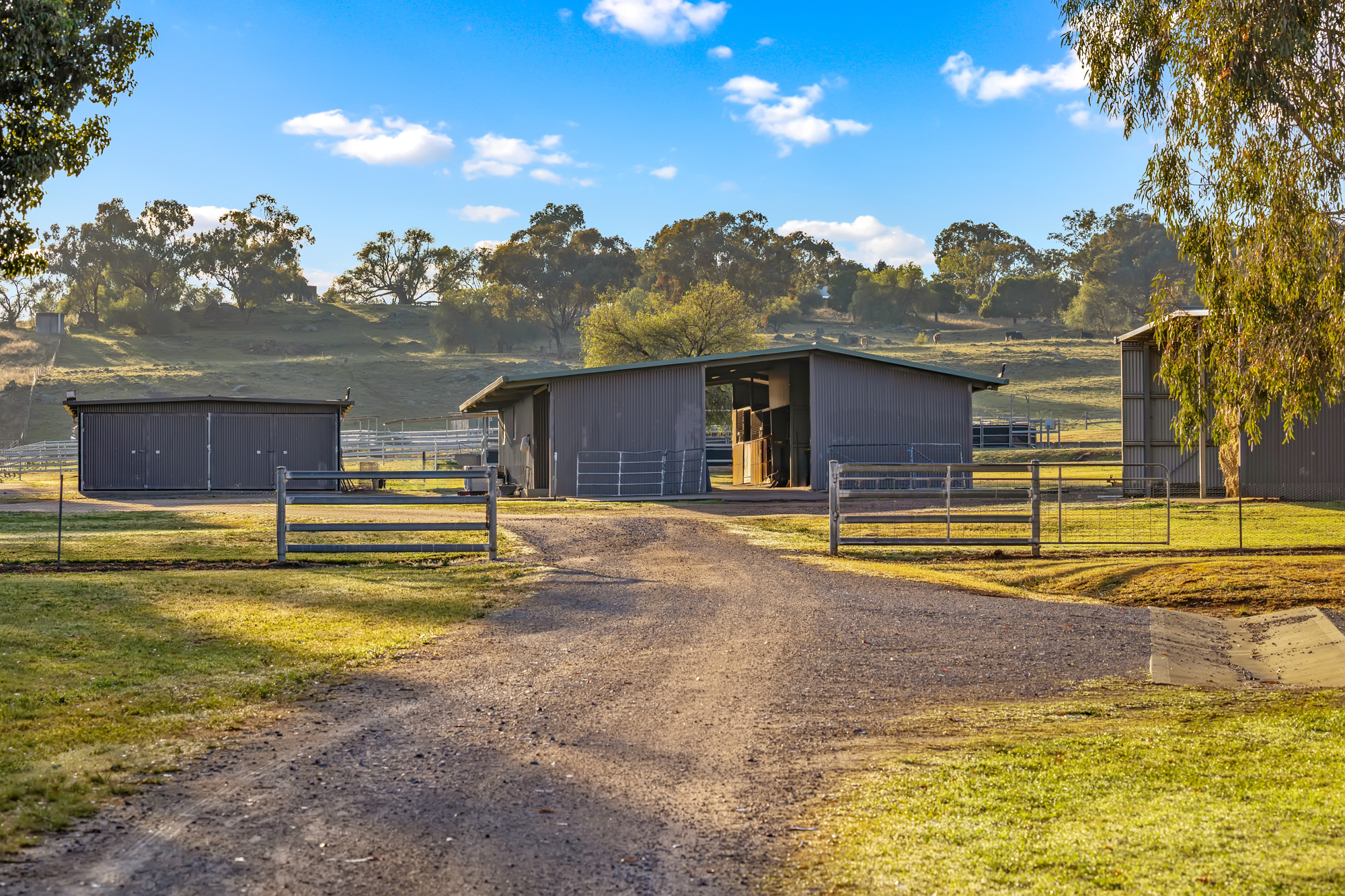 406 Ascot-Calala Road, Tamworth For Sale by Farmbuy.com - image 16