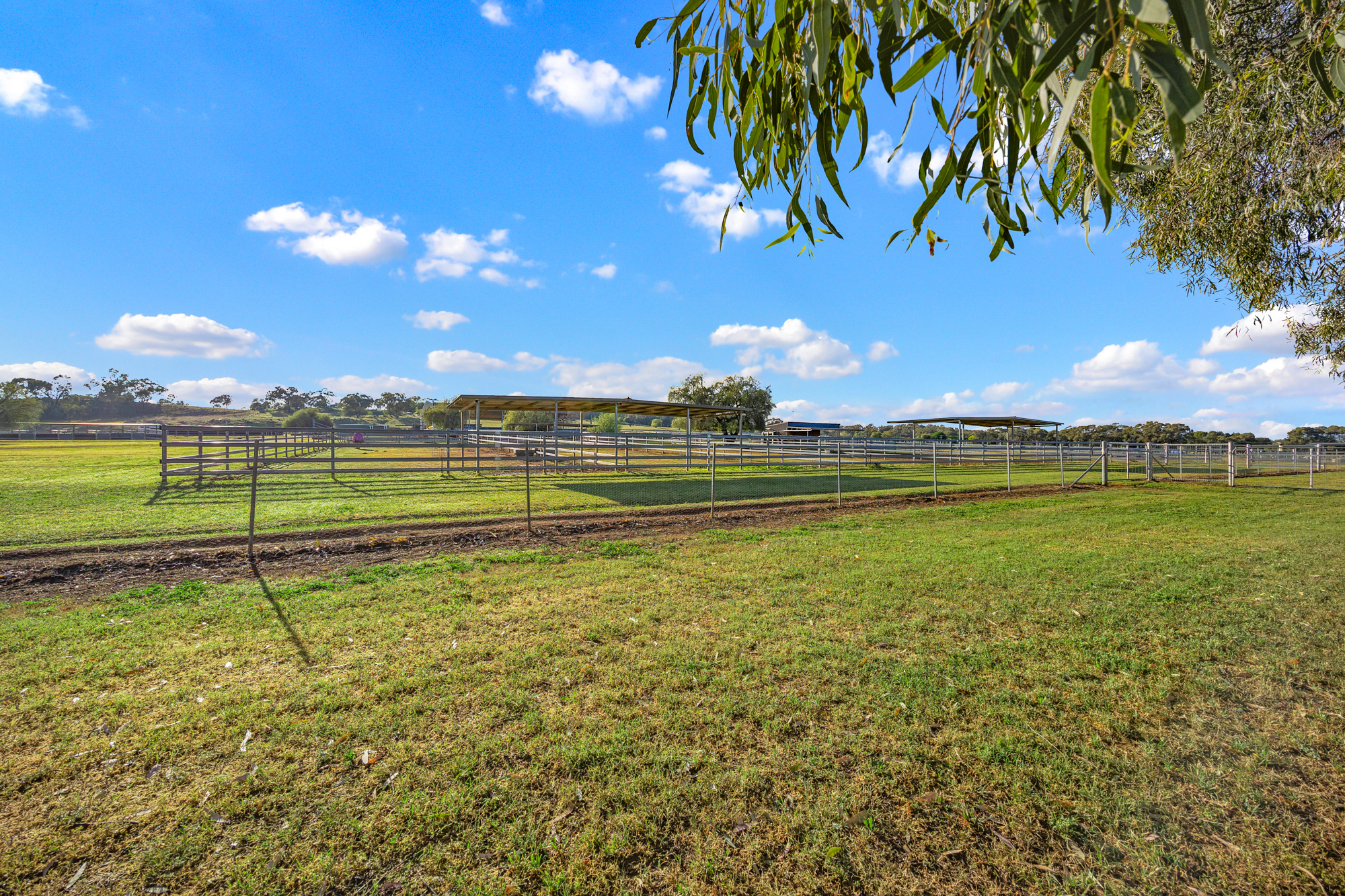 406 Ascot-Calala Road, Tamworth For Sale by Farmbuy.com - image 29