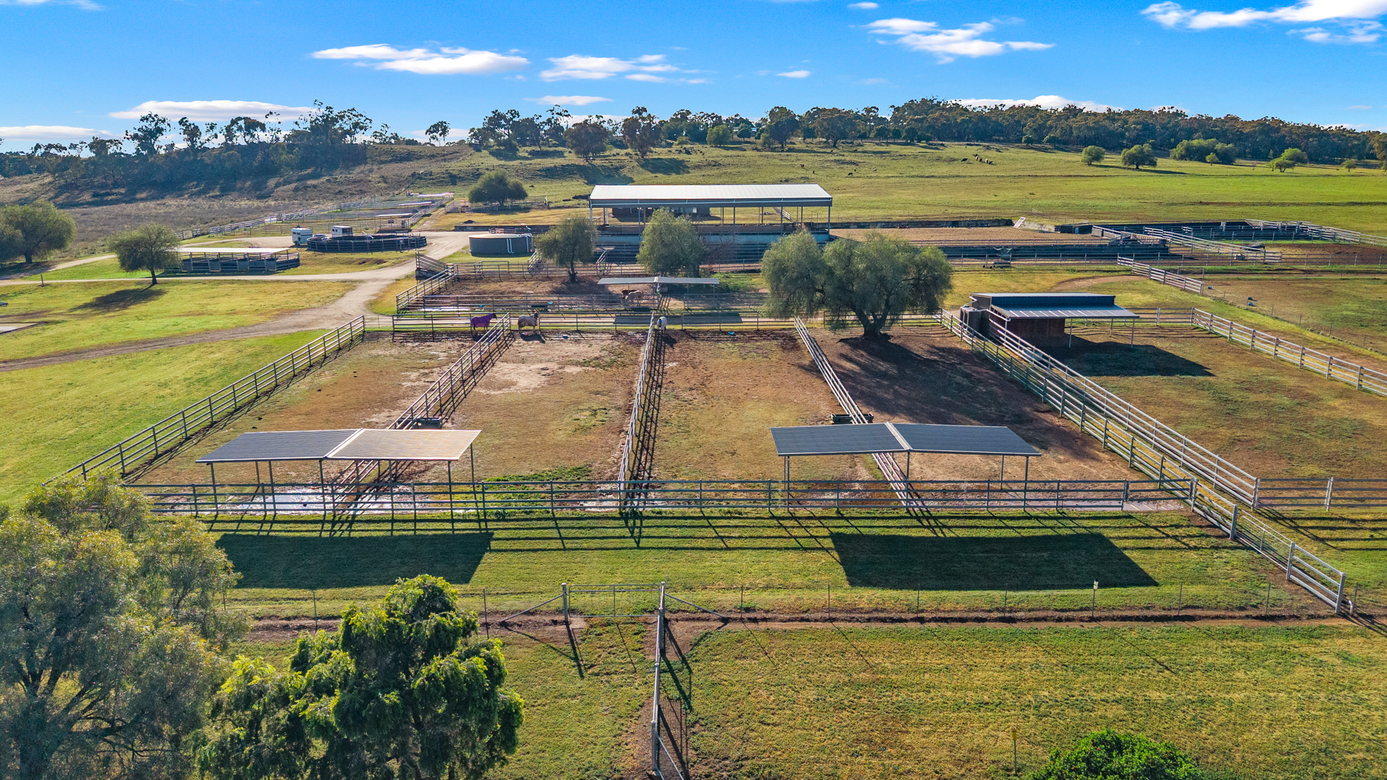 406 Ascot-Calala Road, Tamworth For Sale by Farmbuy.com - image 5