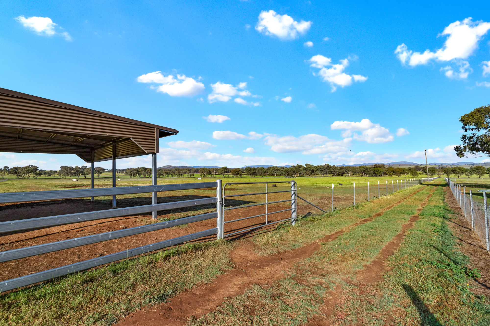 406 Ascot-Calala Road, Tamworth For Sale by Farmbuy.com - image 32