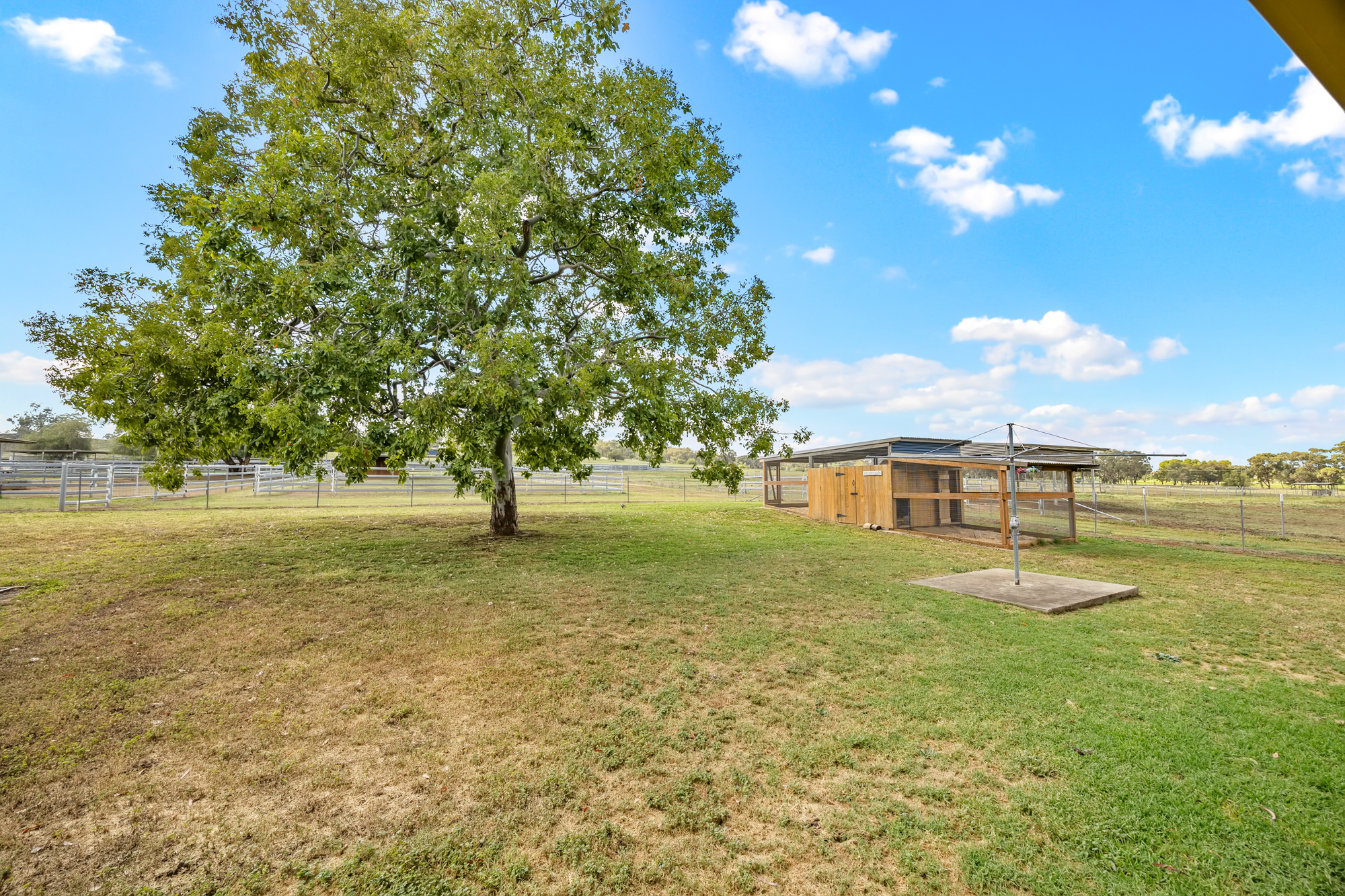 406 Ascot-Calala Road, Tamworth For Sale by Farmbuy.com - image 33