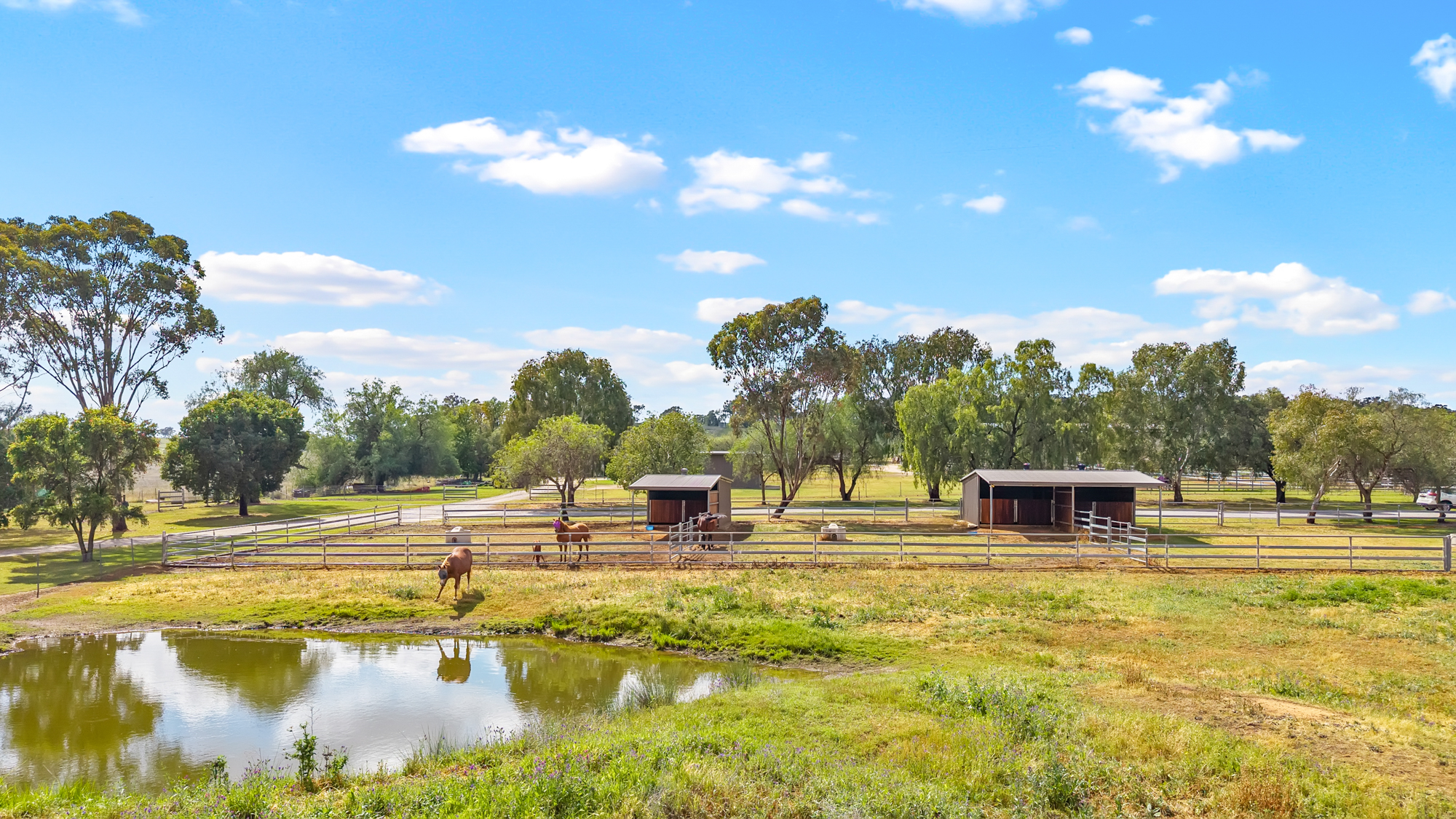 406 Ascot-Calala Road, Tamworth For Sale by Farmbuy.com - image 34