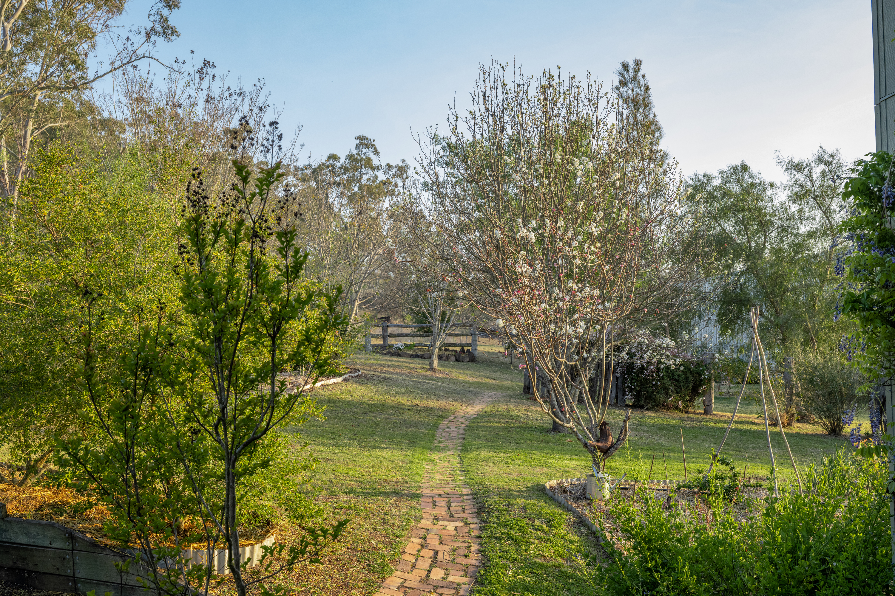 147 Mays Lane, The Hermitage For Sale by Farmbuy.com - image 10