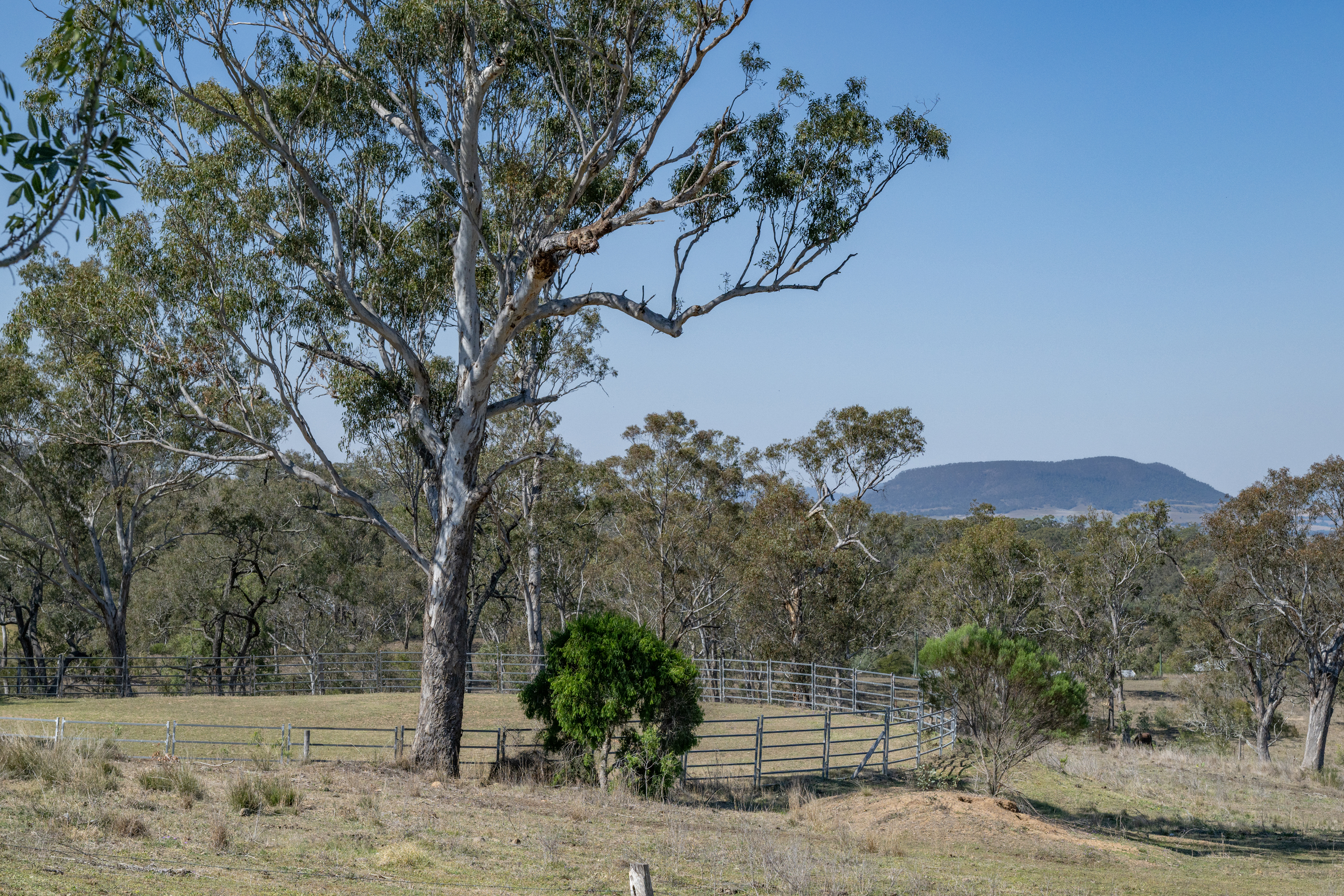 147 Mays Lane, The Hermitage For Sale by Farmbuy.com - image 33