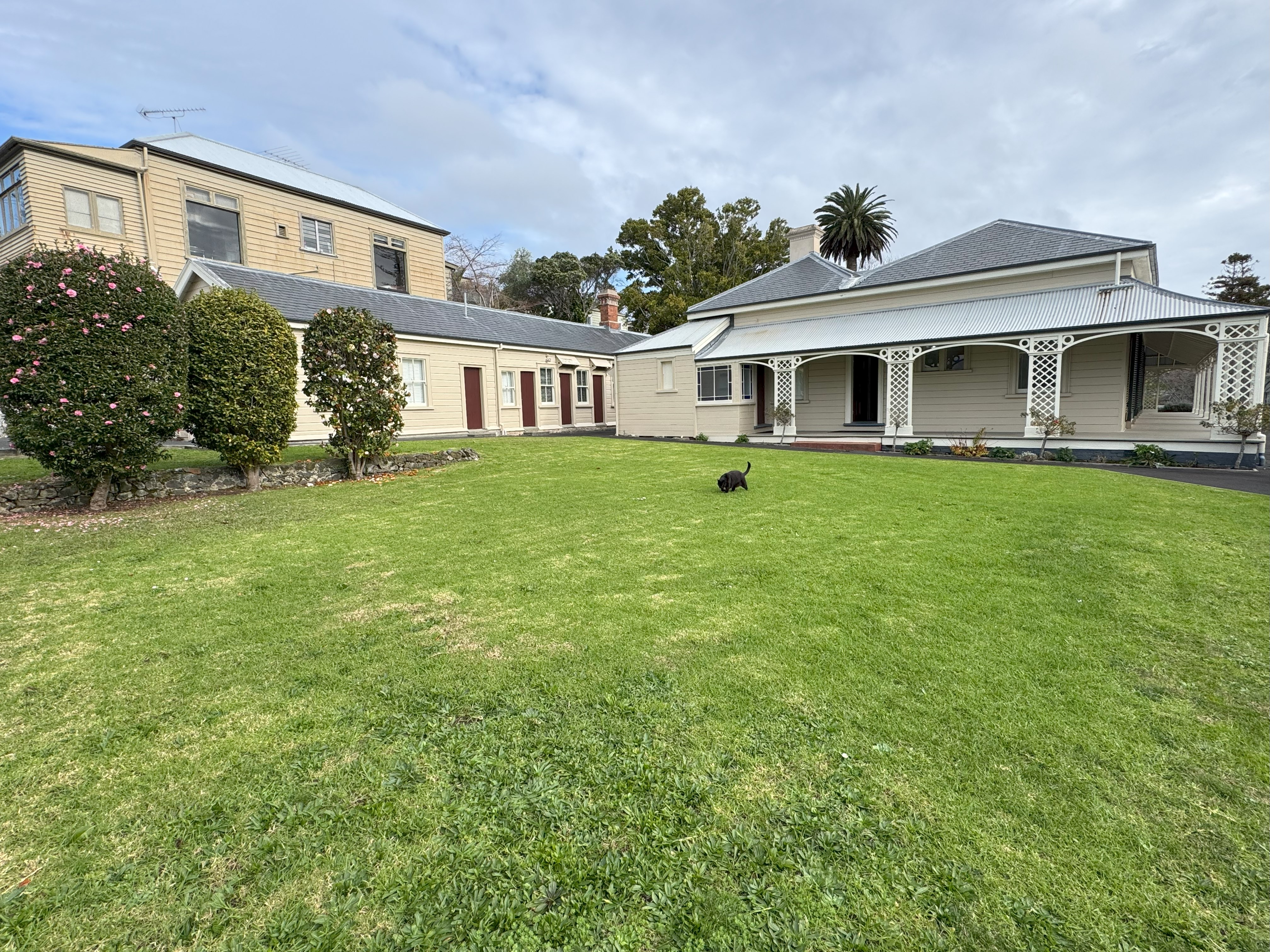 350 Parnell Road Parnell_6