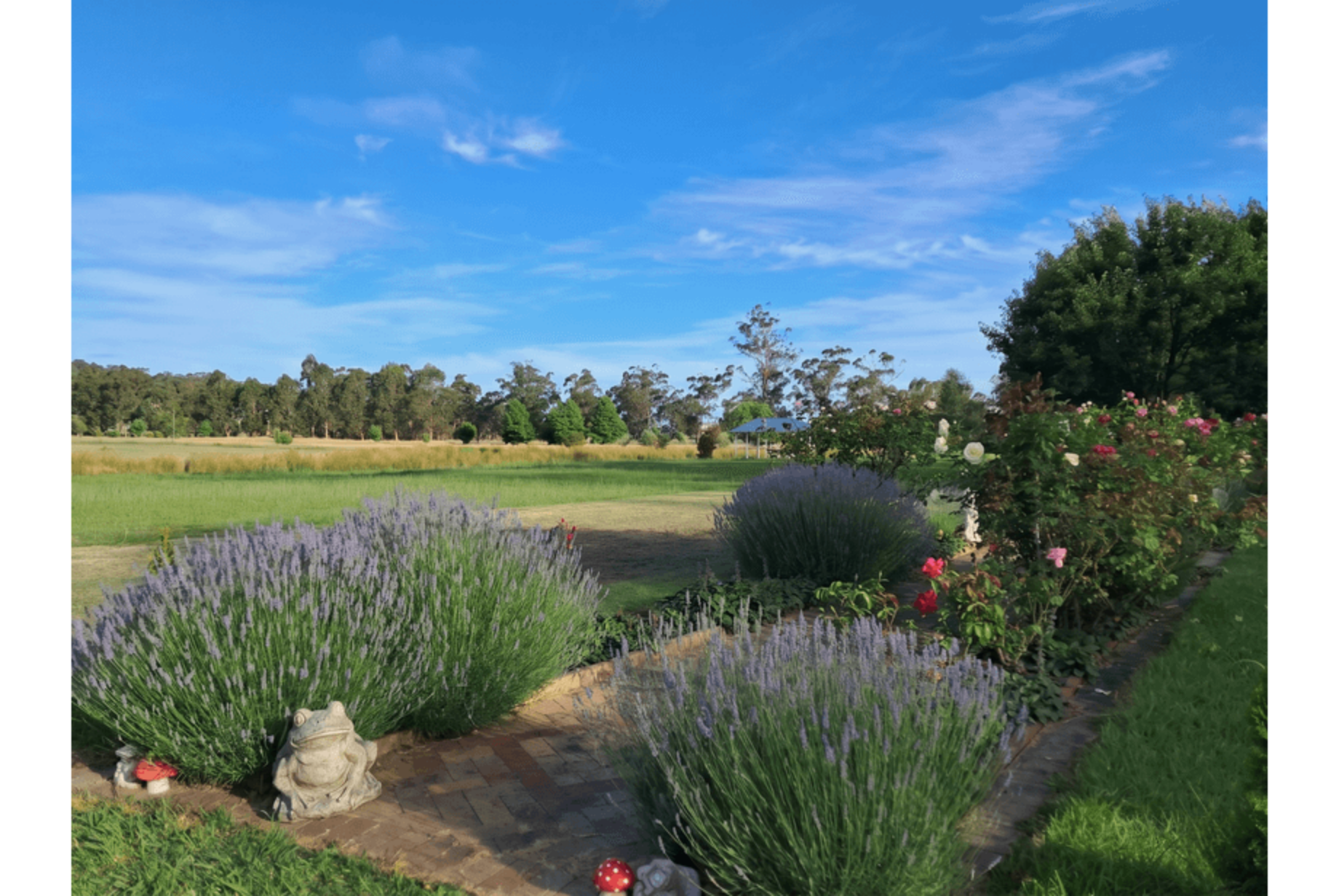 29 Adam View Court, Tanjil South For Sale by Farmbuy.com - image 17