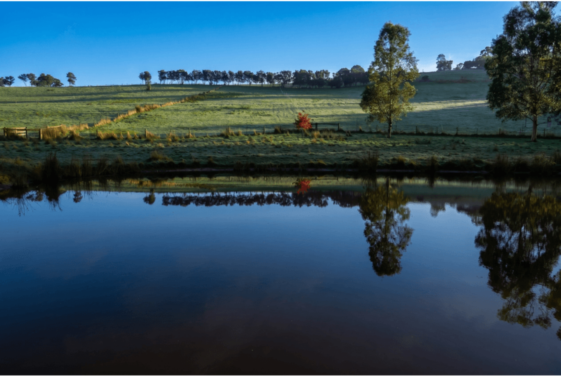 29 Adam View Court, Tanjil South For Sale by Farmbuy.com - image 28