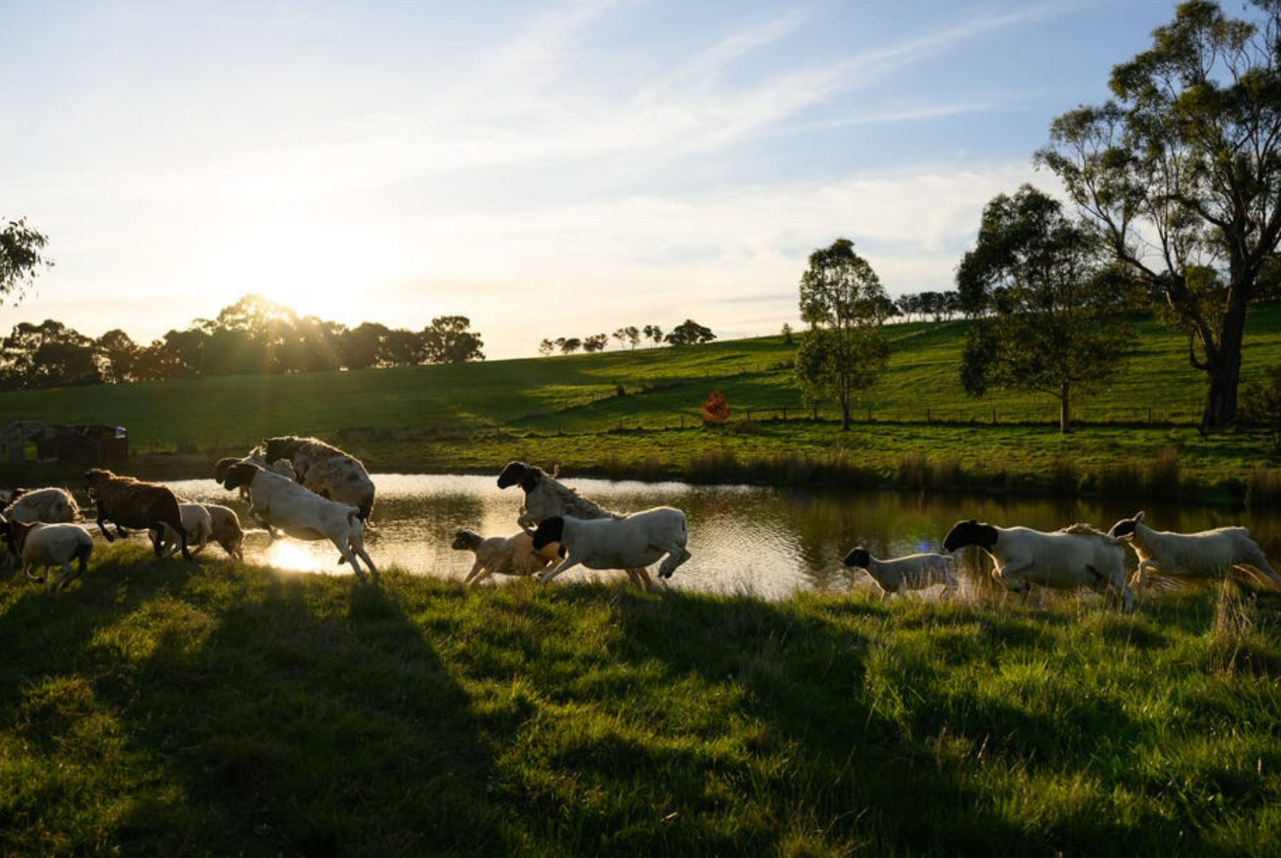 29 Adam View Court, Tanjil South For Sale by Farmbuy.com - image 31