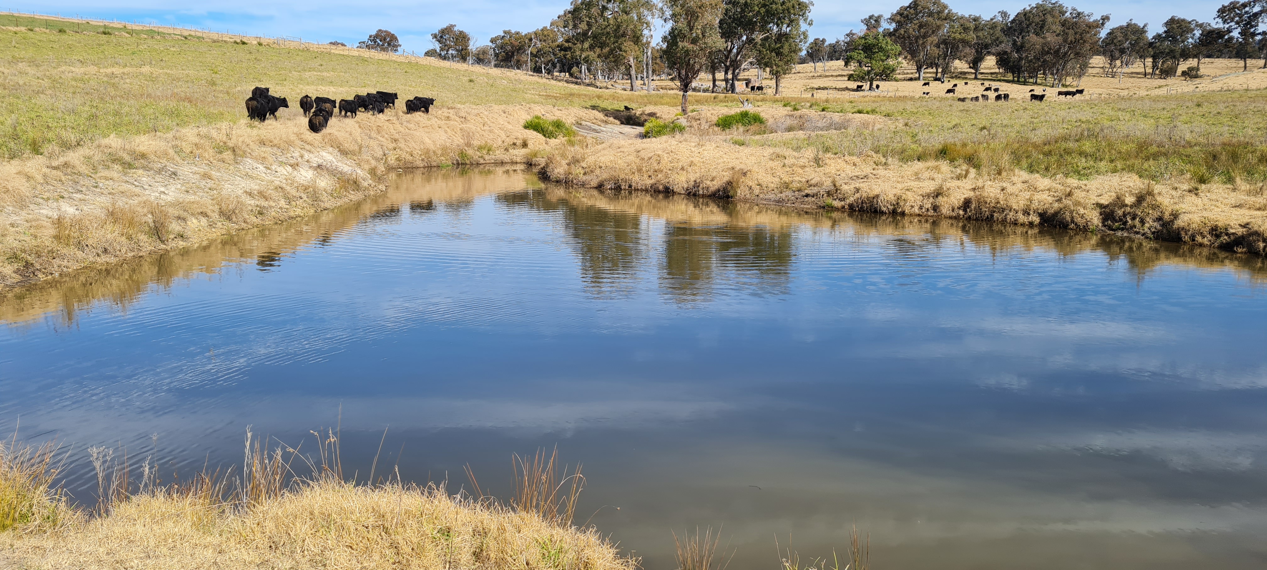 8654A New England Highway, Tenterfield For Sale by Farmbuy.com - image 35