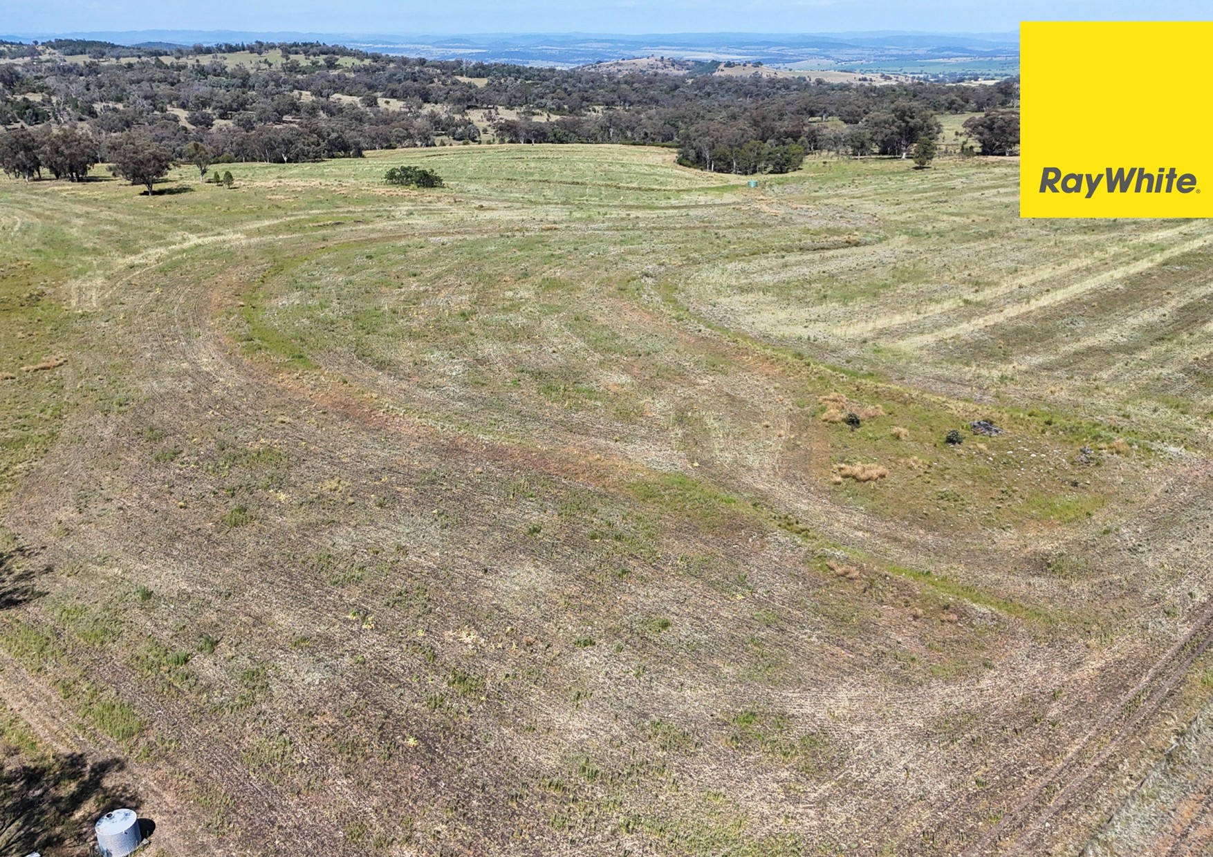 Farm For Sale - NSW - Delungra - 2403 - 'Breeder or Backgrounding Operation' 