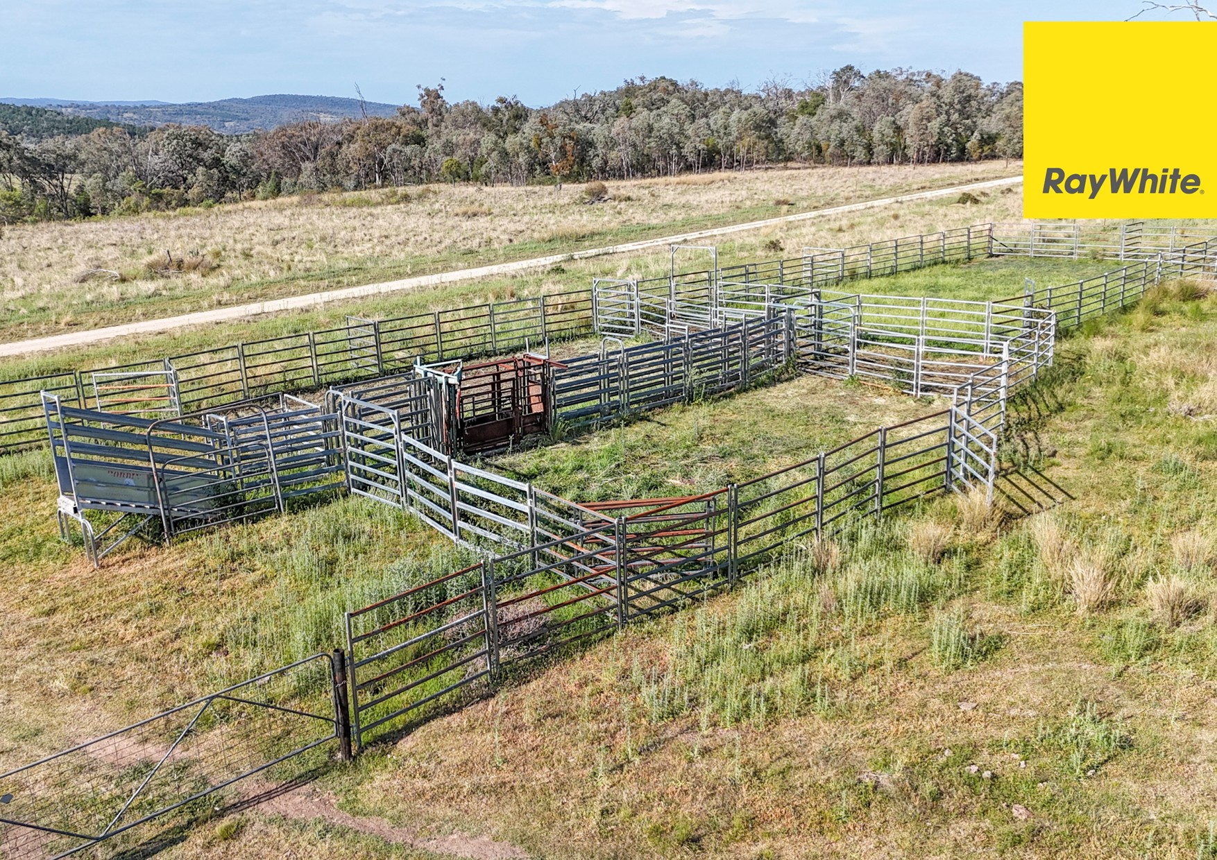 600 Blyths Lane, Delungra For Sale by Farmbuy.com - image 16