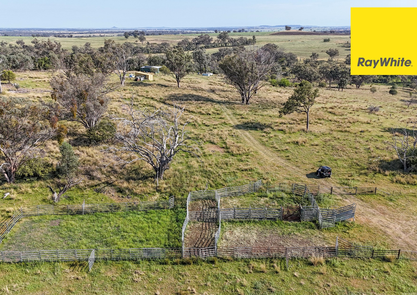 600 Blyths Lane, Delungra For Sale by Farmbuy.com - image 17