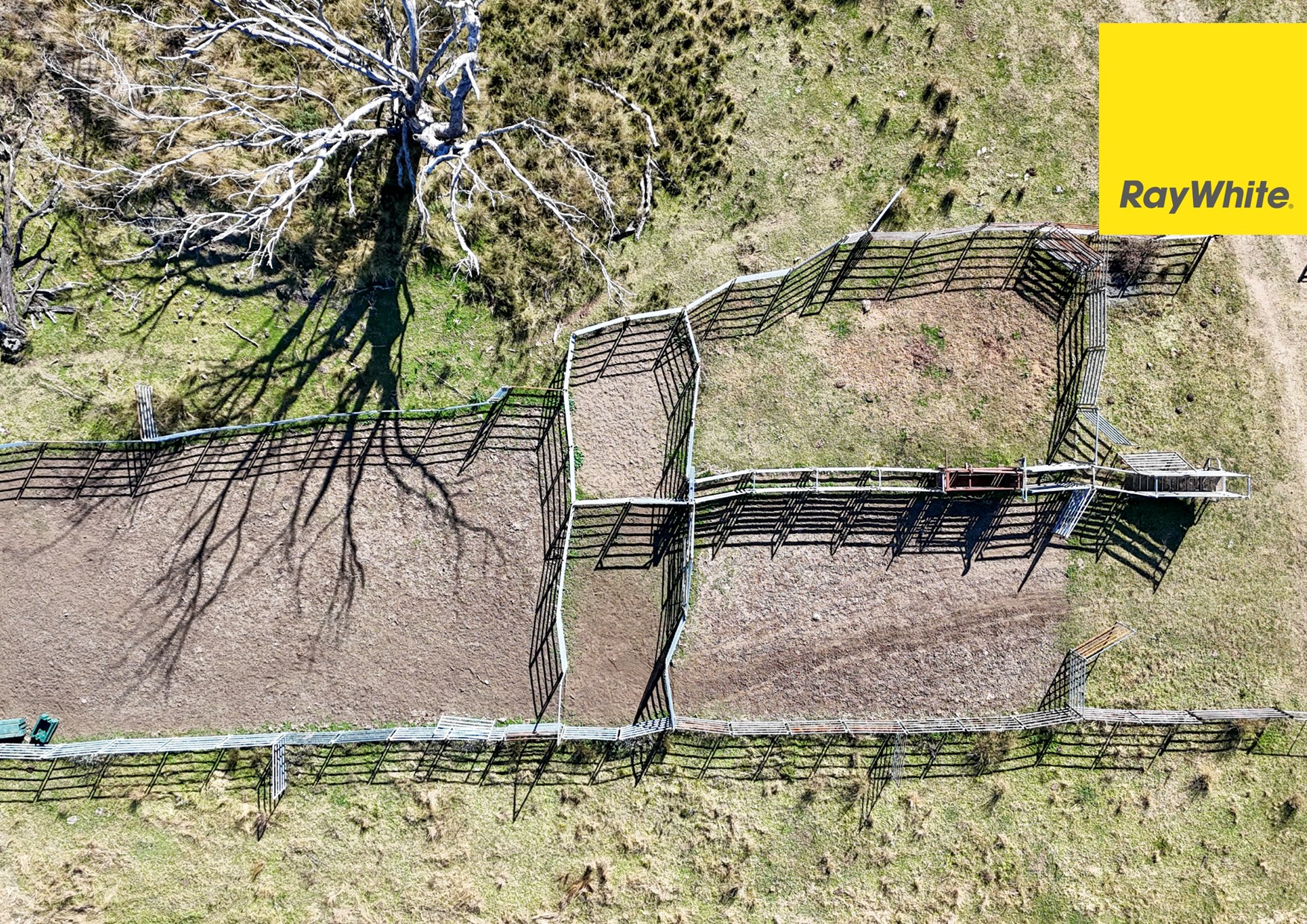 600 Blyths Lane, Delungra For Sale by Farmbuy.com - image 18