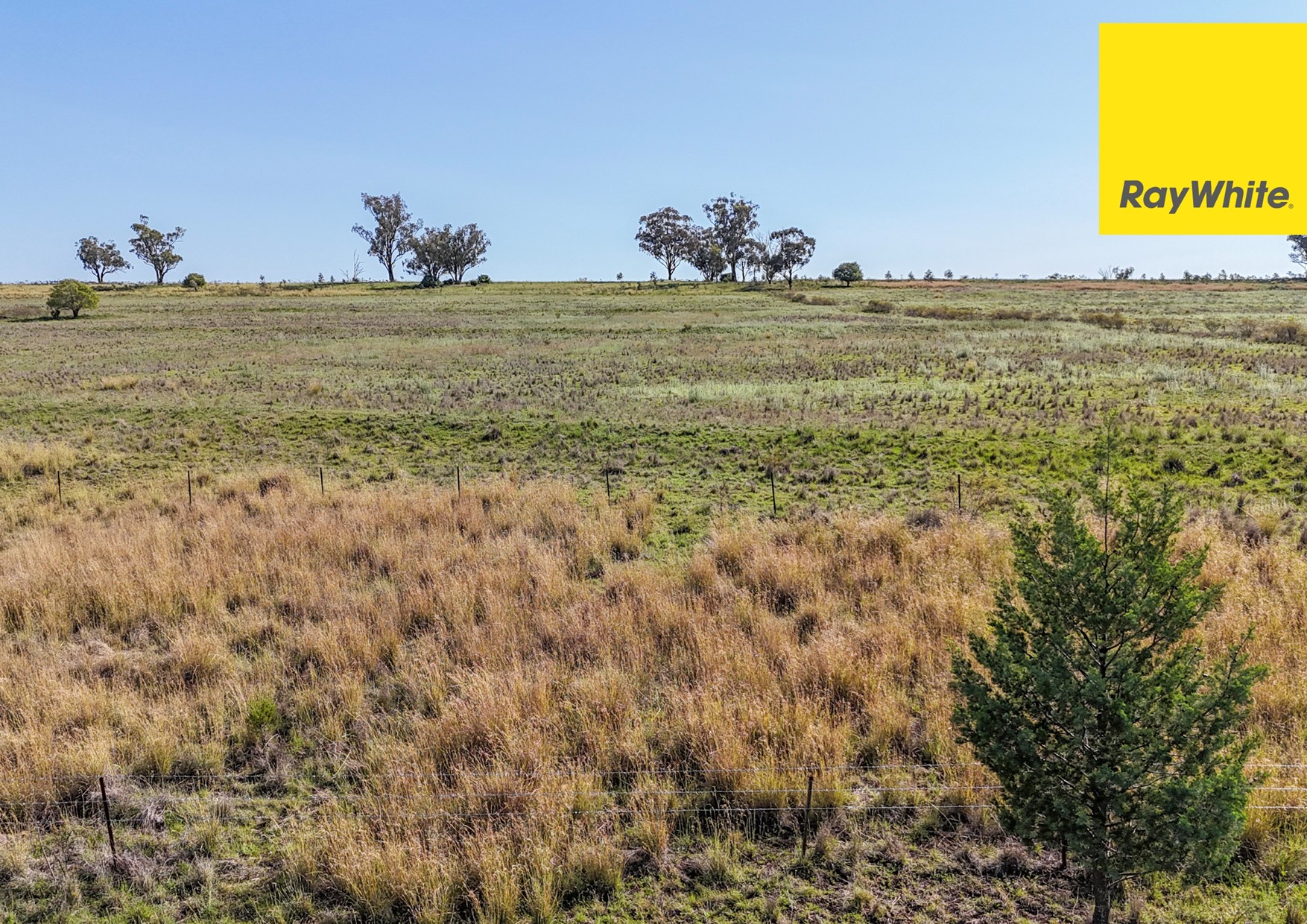 600 Blyths Lane, Delungra For Sale by Farmbuy.com - image 2