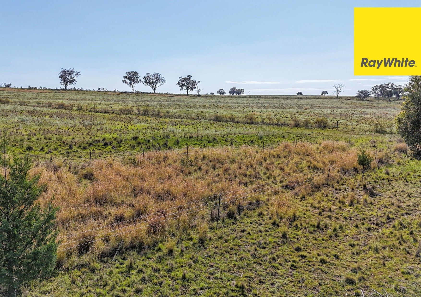 600 Blyths Lane, Delungra For Sale by Farmbuy.com - image 20