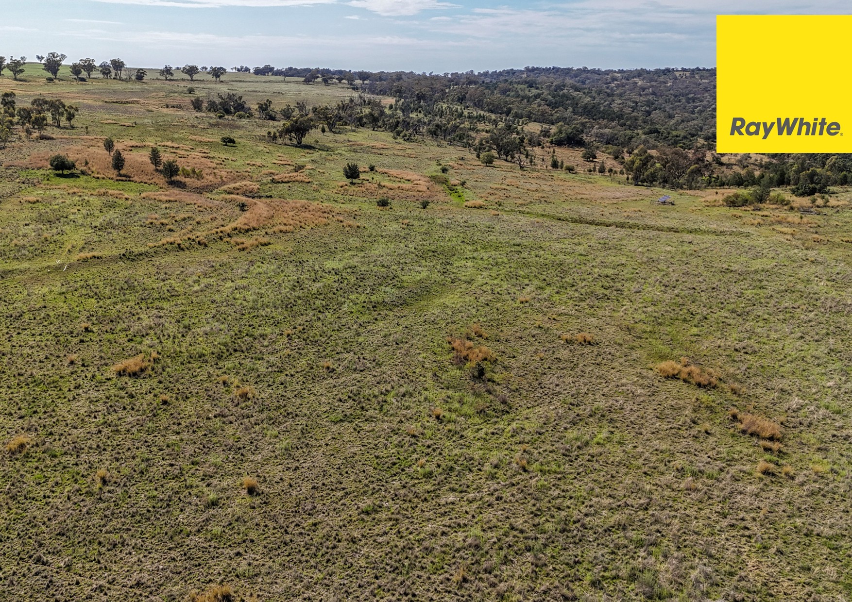 600 Blyths Lane, Delungra For Sale by Farmbuy.com - image 21
