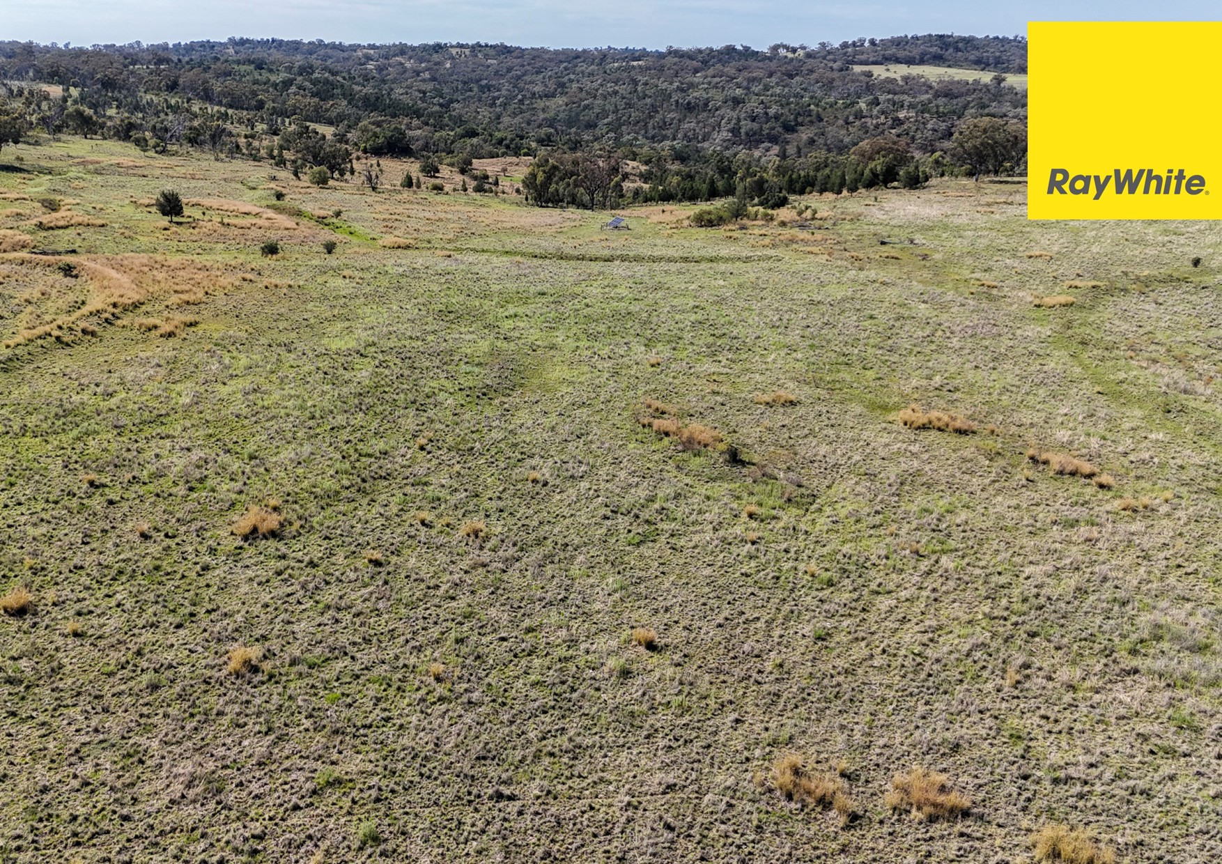 600 Blyths Lane, Delungra For Sale by Farmbuy.com - image 22