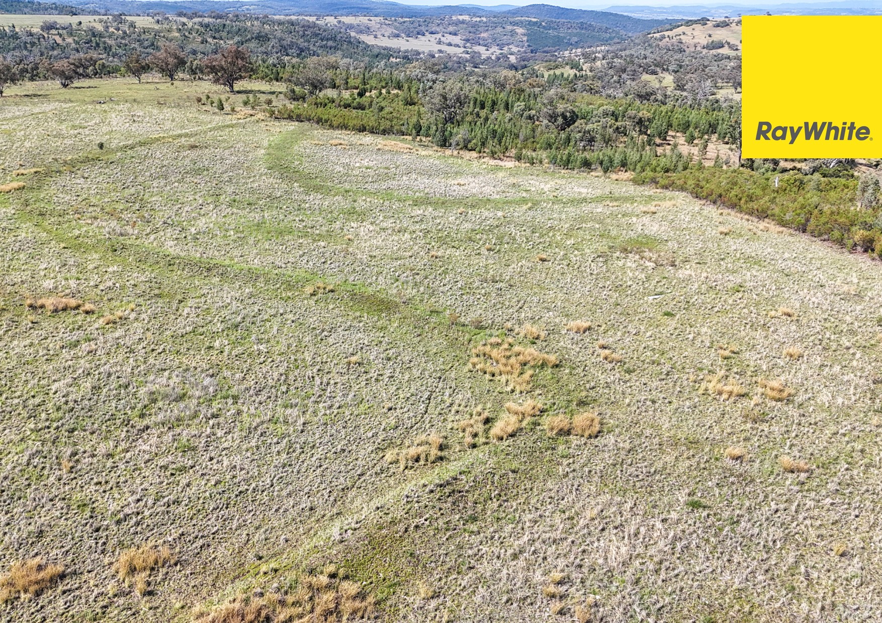 600 Blyths Lane, Delungra For Sale by Farmbuy.com - image 23