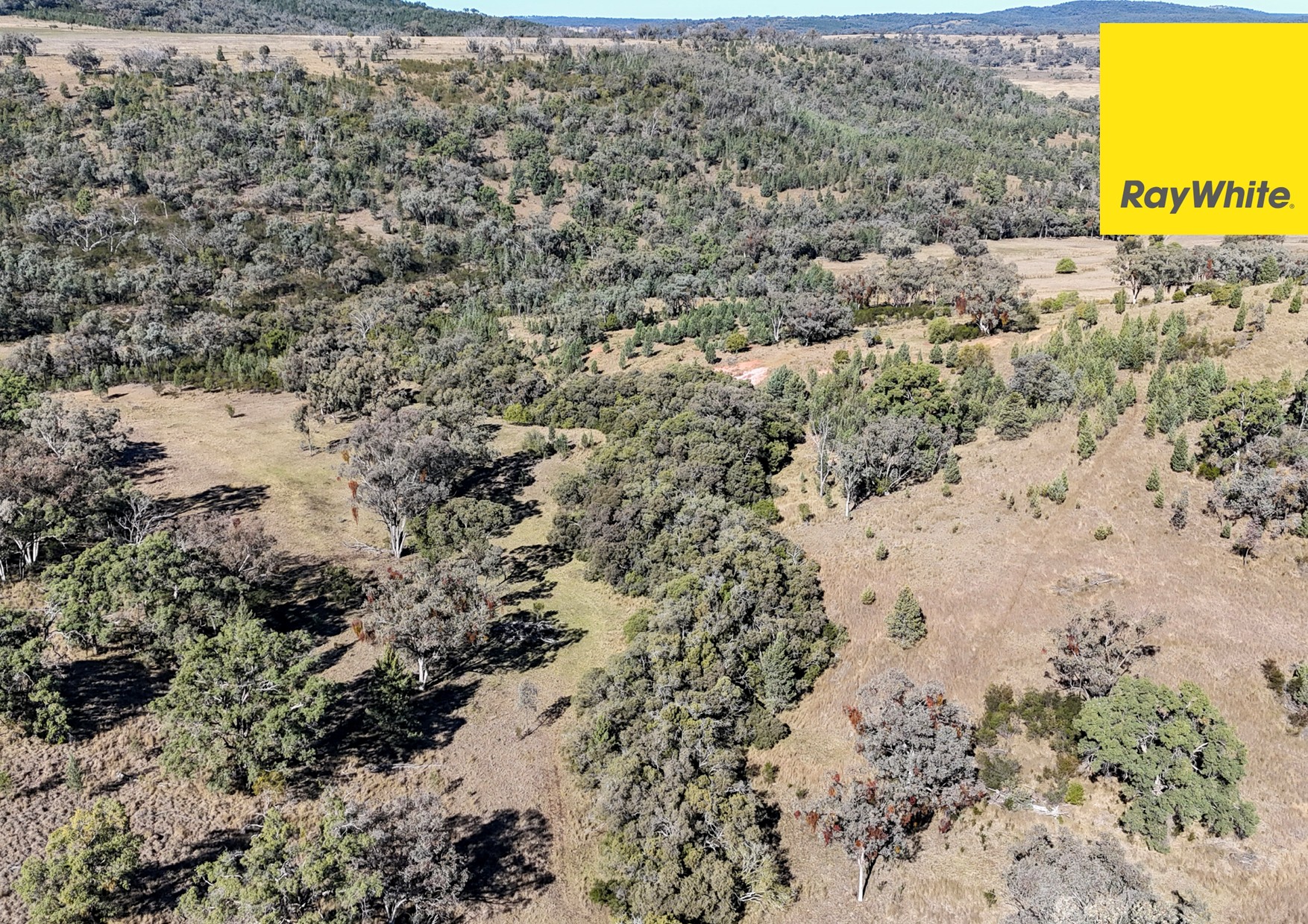 600 Blyths Lane, Delungra For Sale by Farmbuy.com - image 24