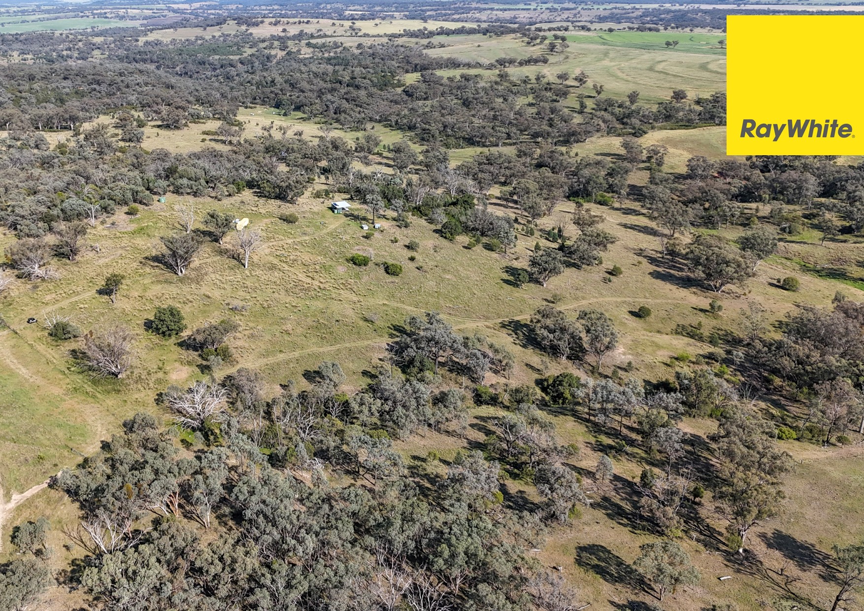 600 Blyths Lane, Delungra For Sale by Farmbuy.com - image 25