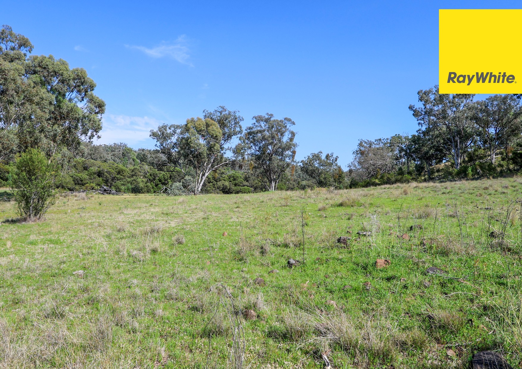 600 Blyths Lane, Delungra For Sale by Farmbuy.com - image 28