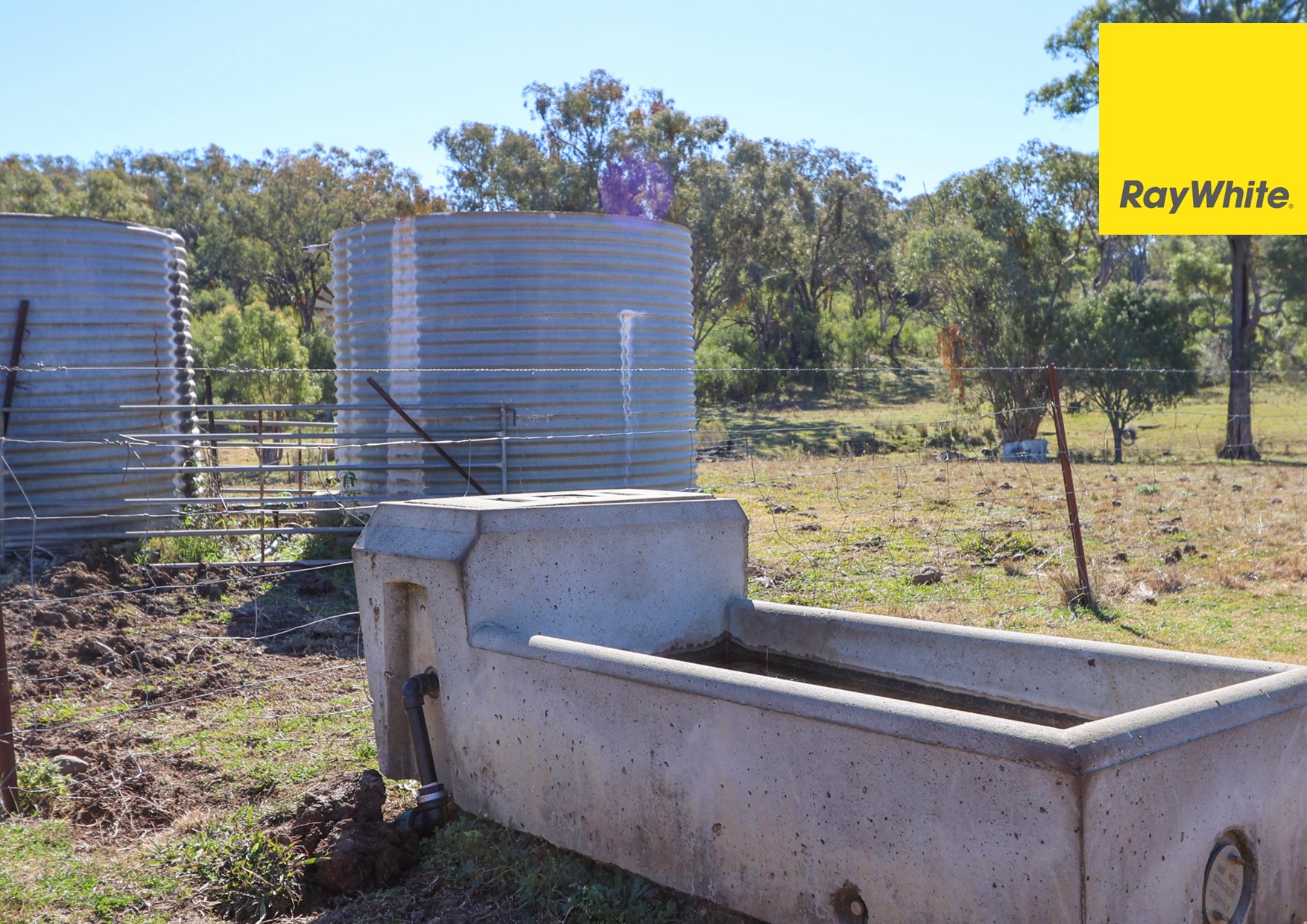 600 Blyths Lane, Delungra For Sale by Farmbuy.com - image 29