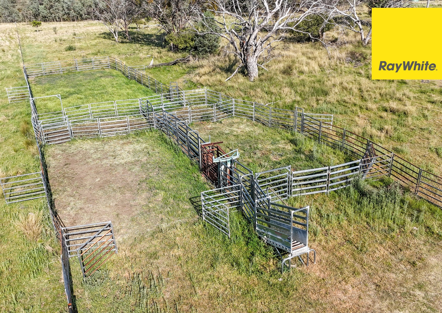 600 Blyths Lane, Delungra For Sale by Farmbuy.com - image 3