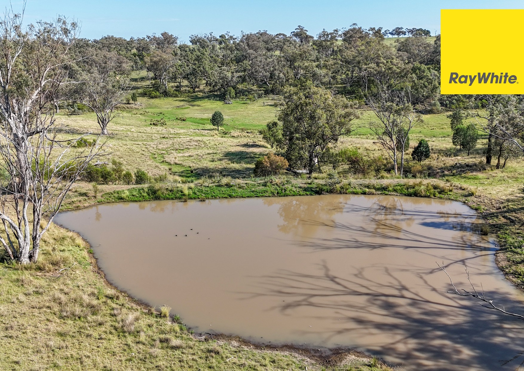 600 Blyths Lane, Delungra For Sale by Farmbuy.com - image 34