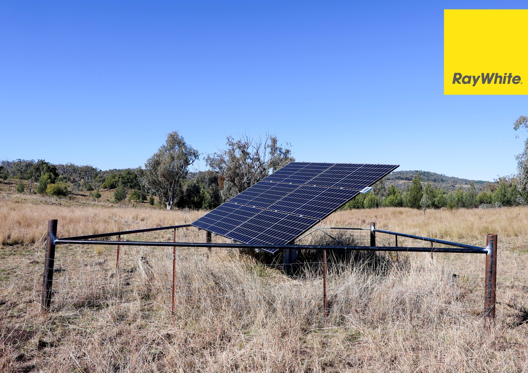 600 Blyths Lane, Delungra For Sale by Farmbuy.com - image 4